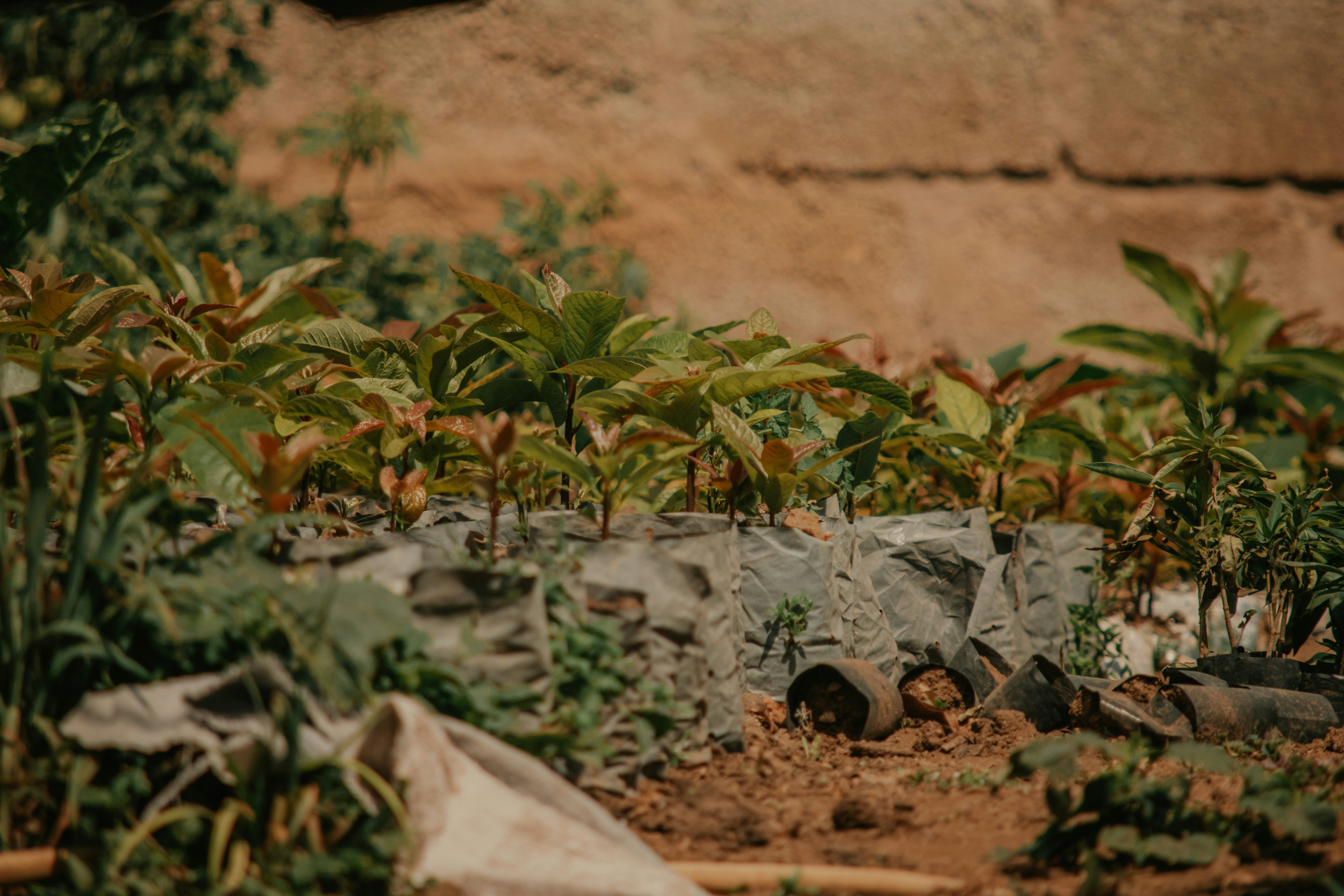 Photo by utunzajiwamazingira