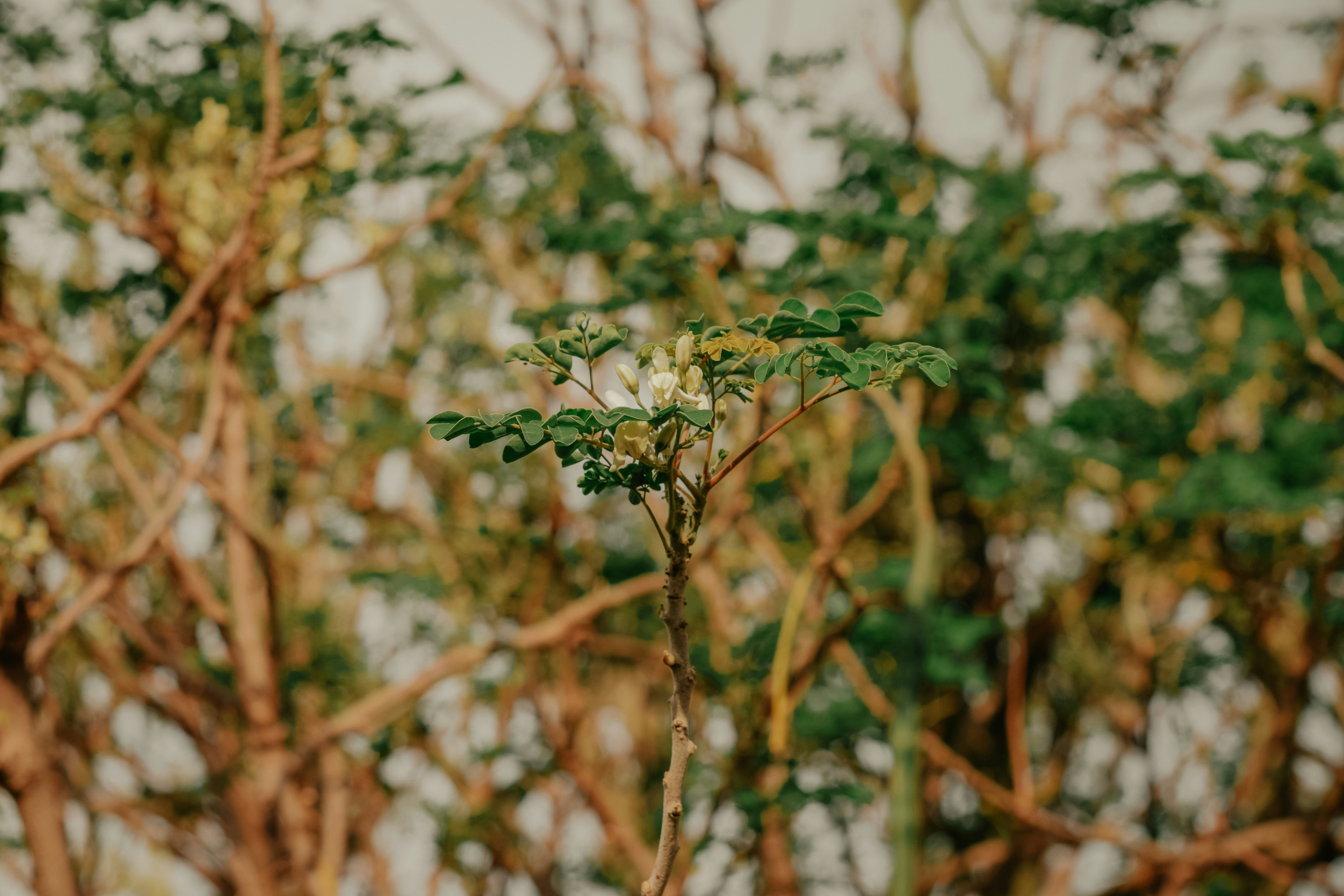 Photo by utunzajiwamazingira