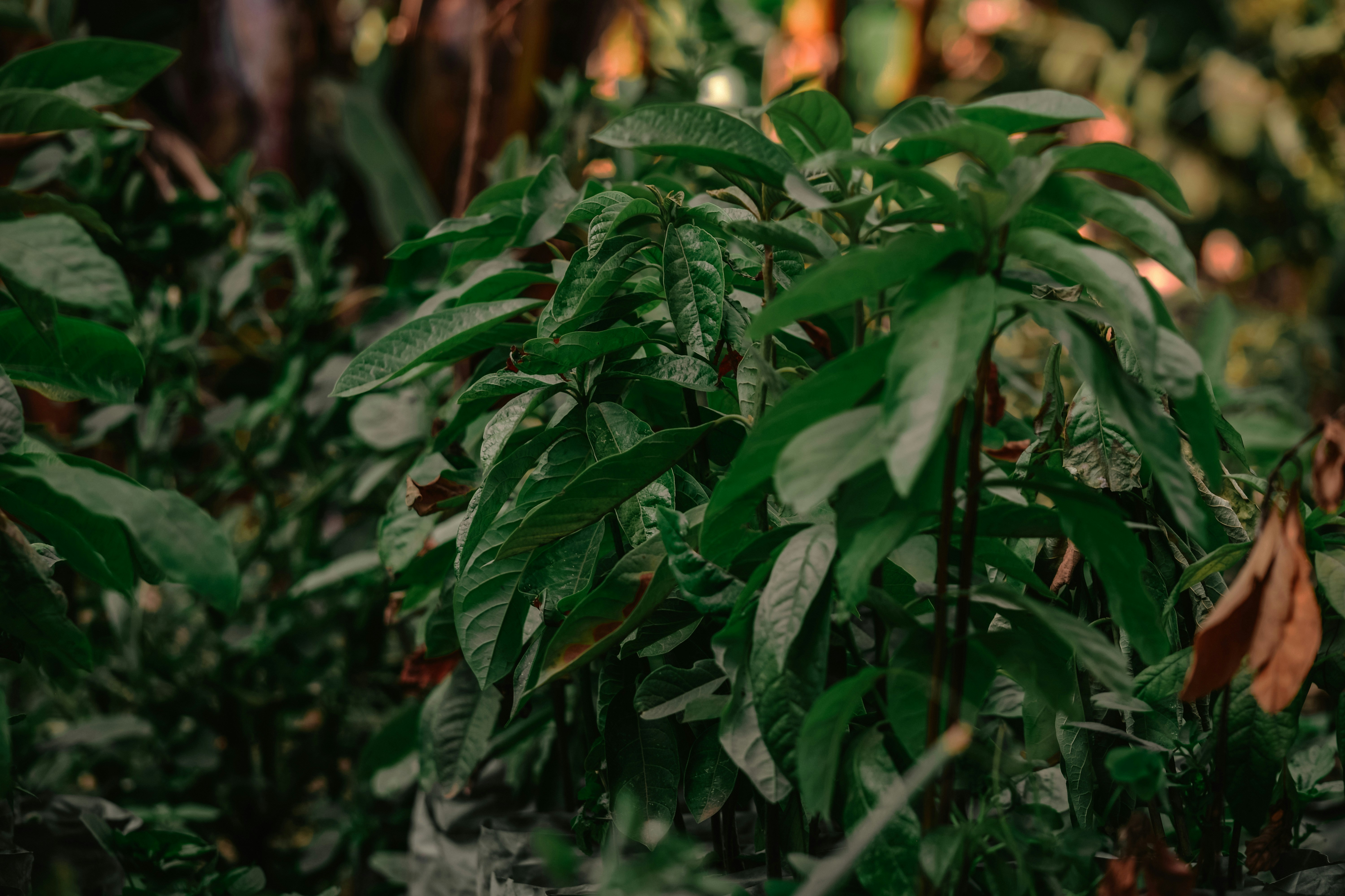 Photo by utunzajiwamazingira