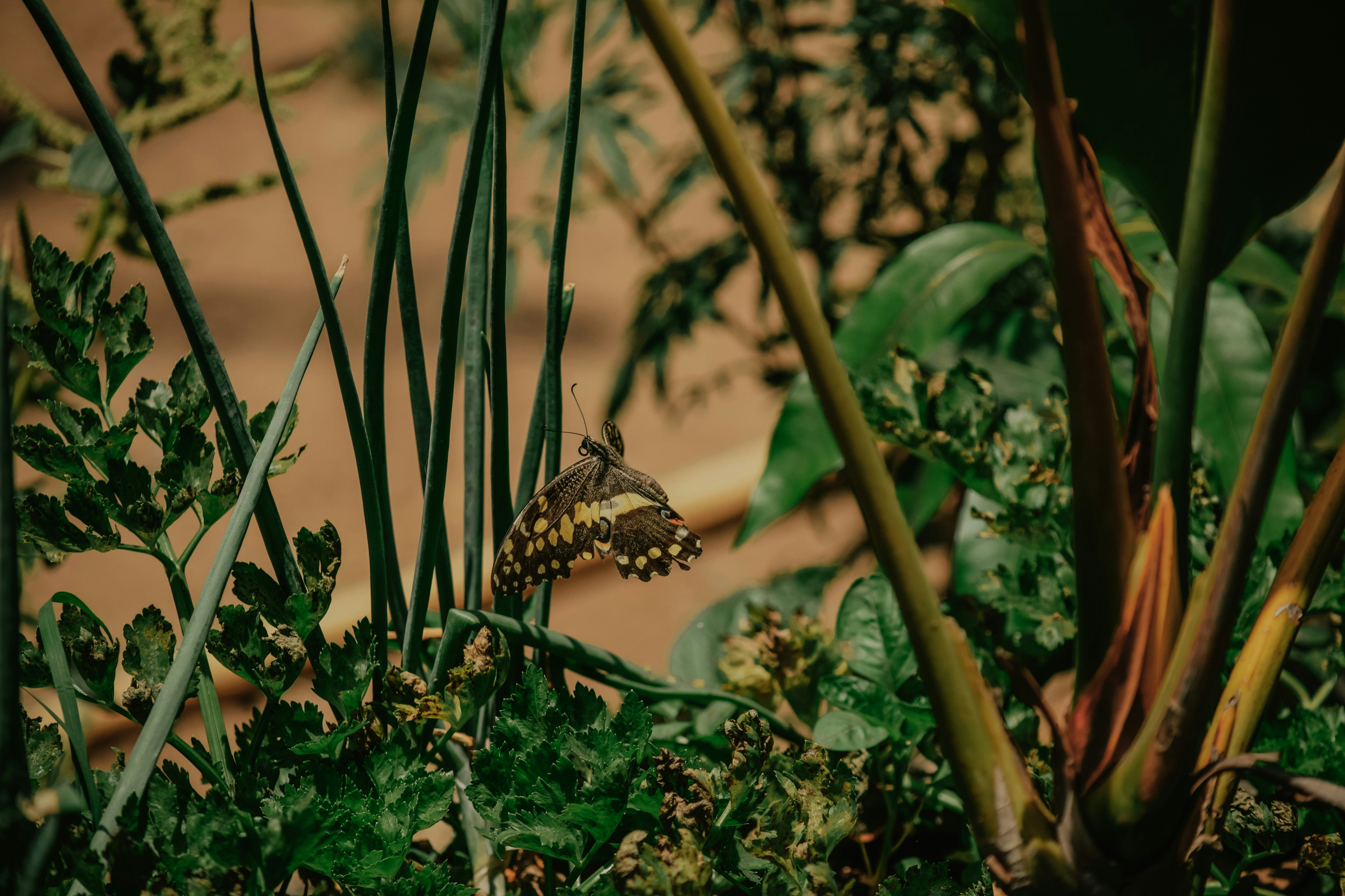 Photo by utunzajiwamazingira