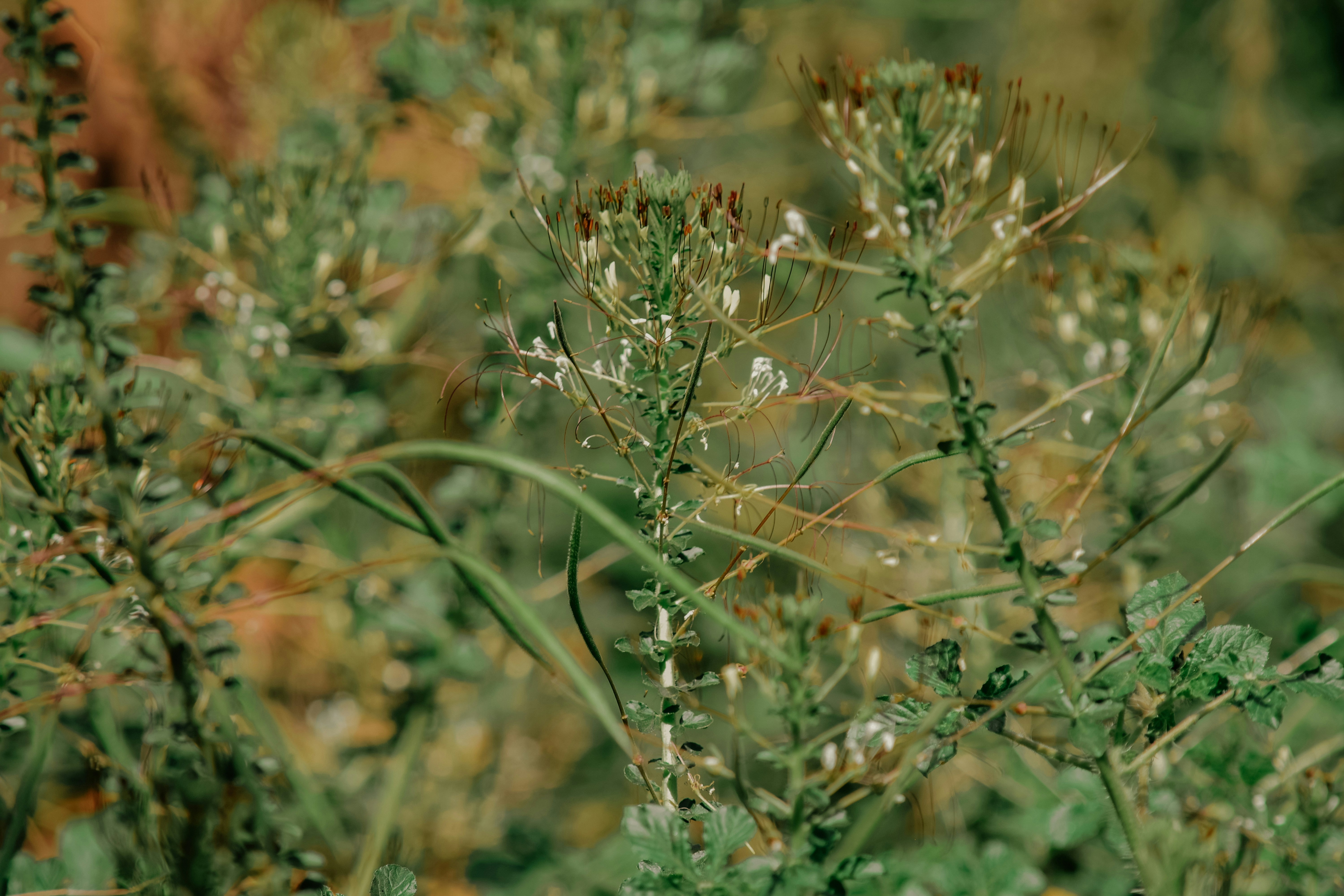 Photo by utunzajiwamazingira