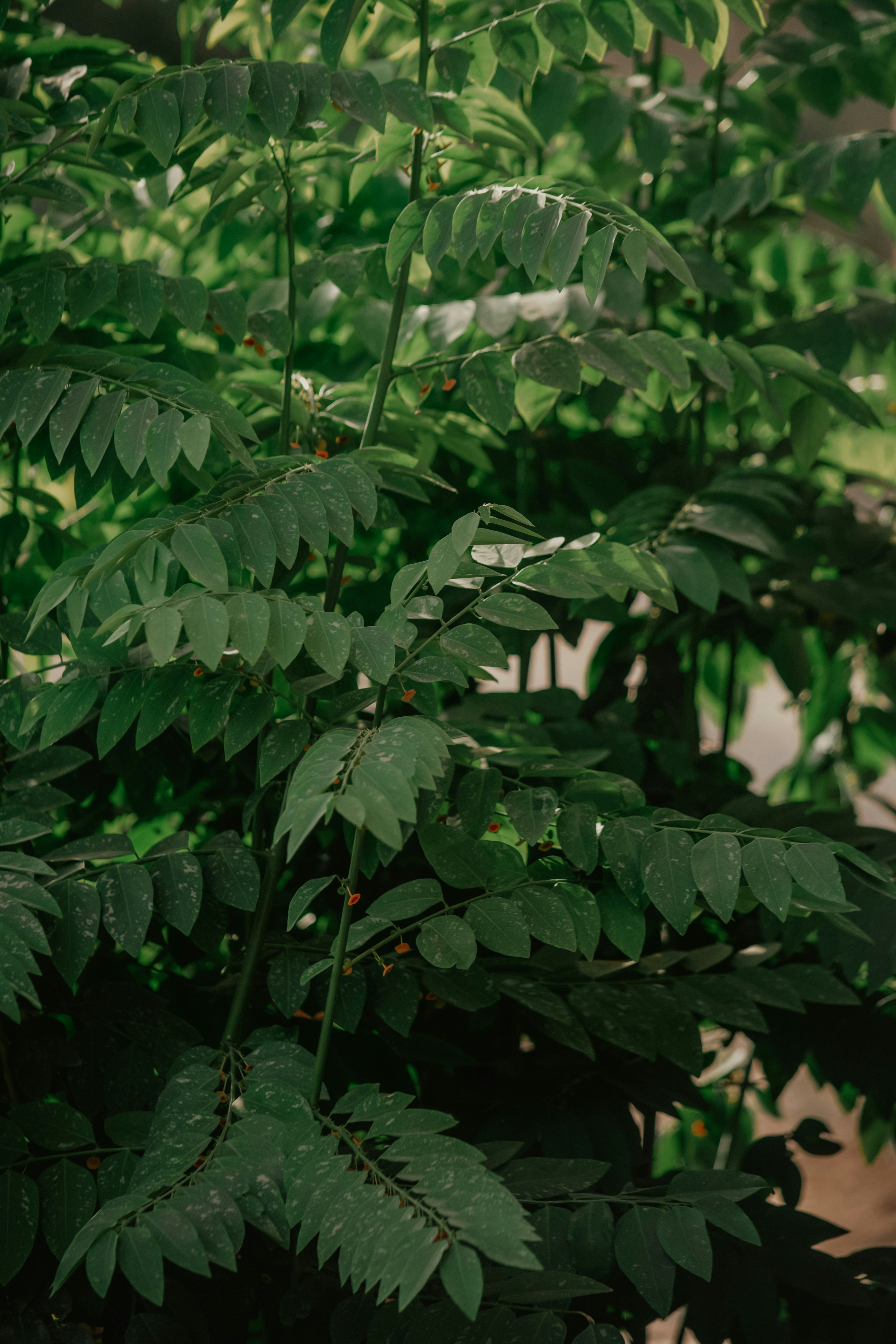 Photo by utunzajiwamazingira