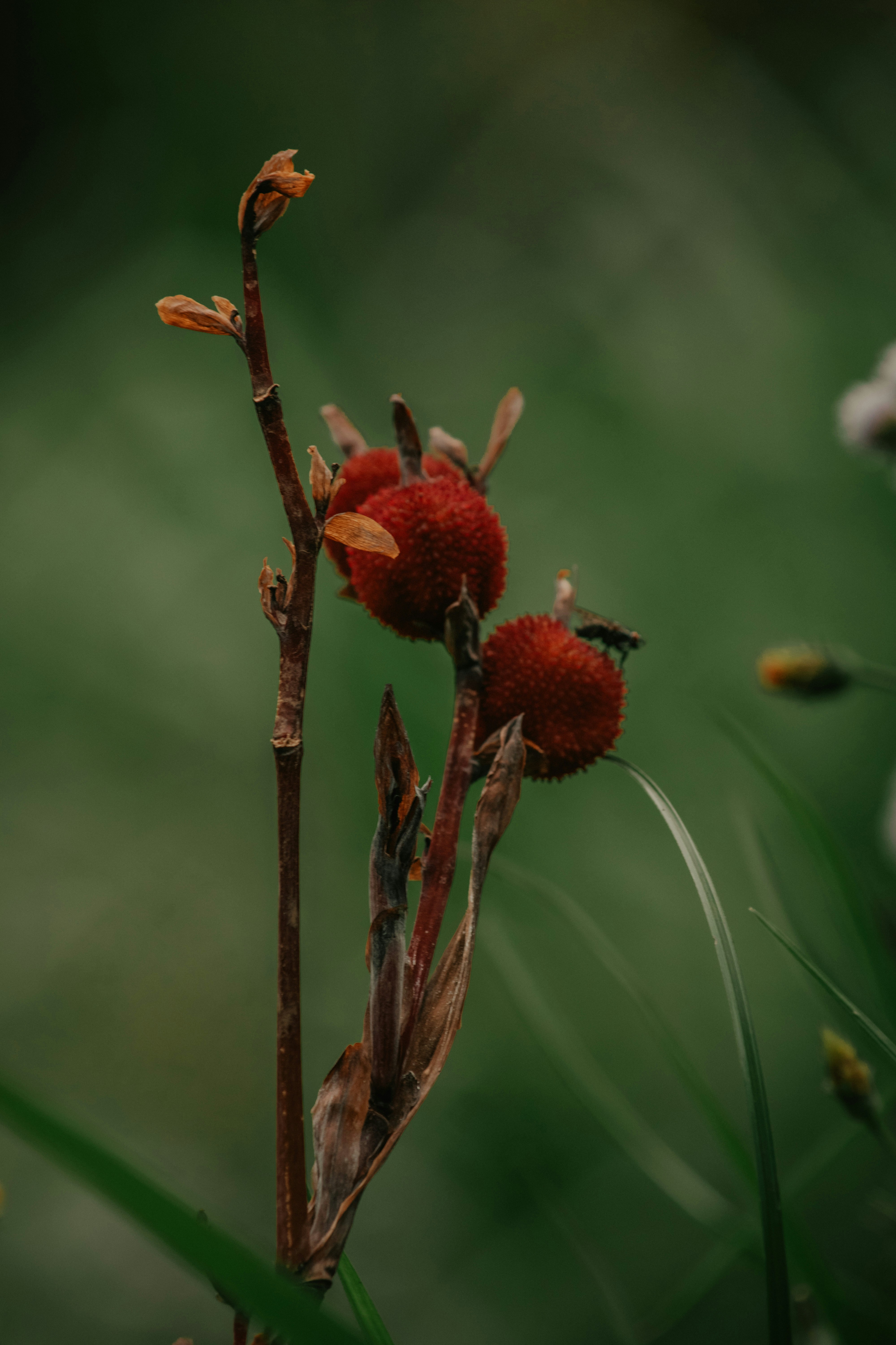 Photo by utunzajiwamazingira