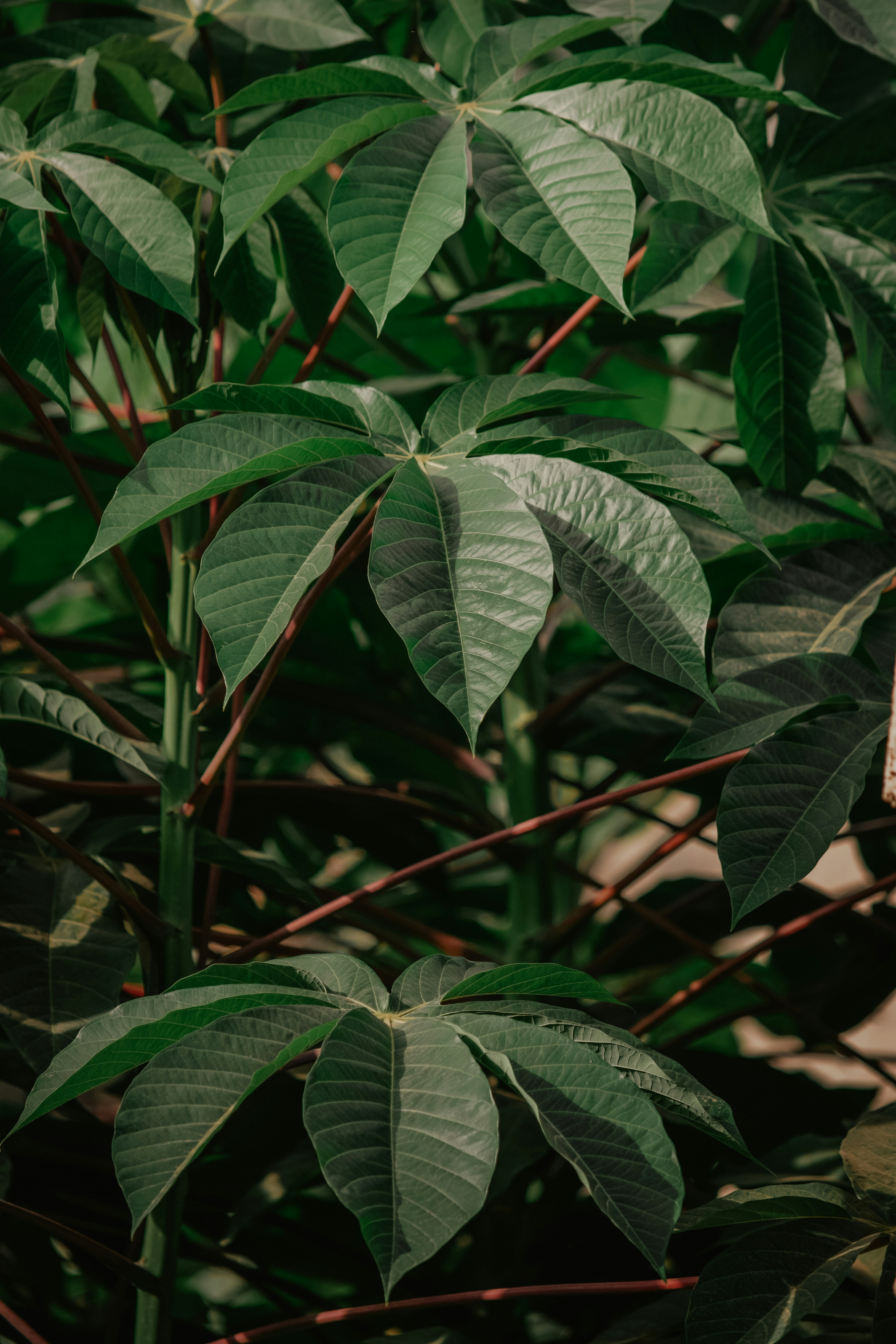 Photo by utunzajiwamazingira