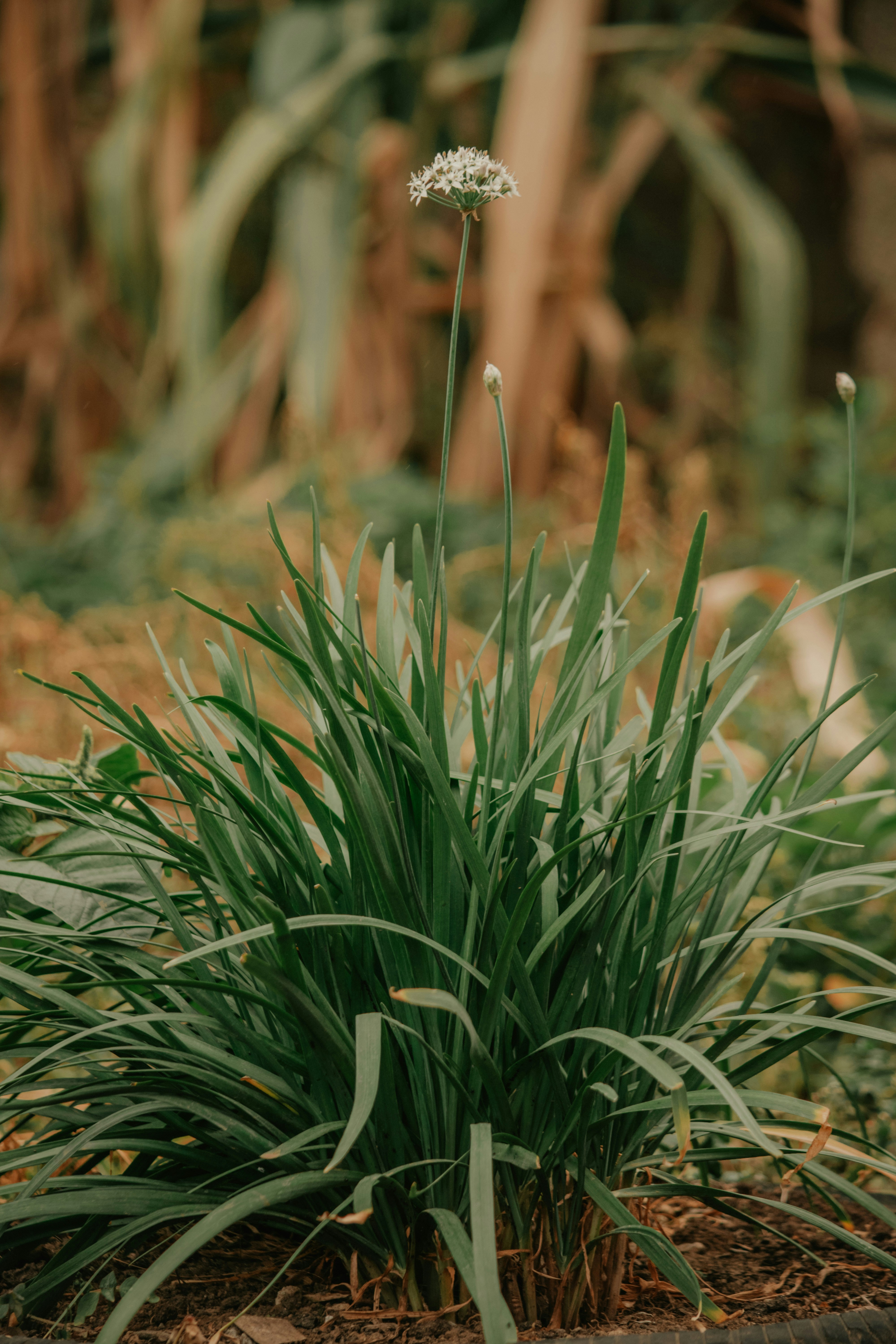 Photo by utunzajiwamazingira