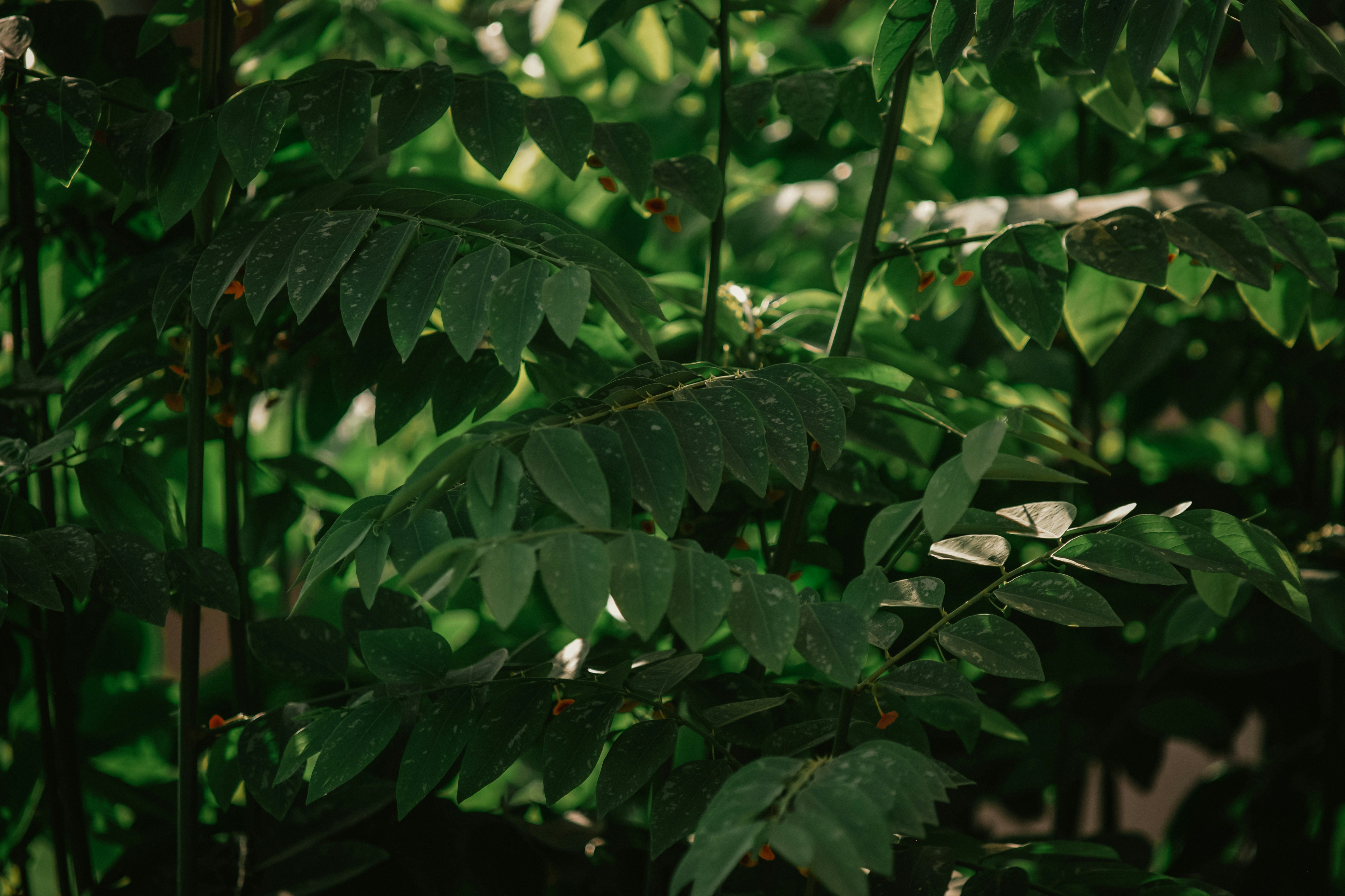 Photo by utunzajiwamazingira