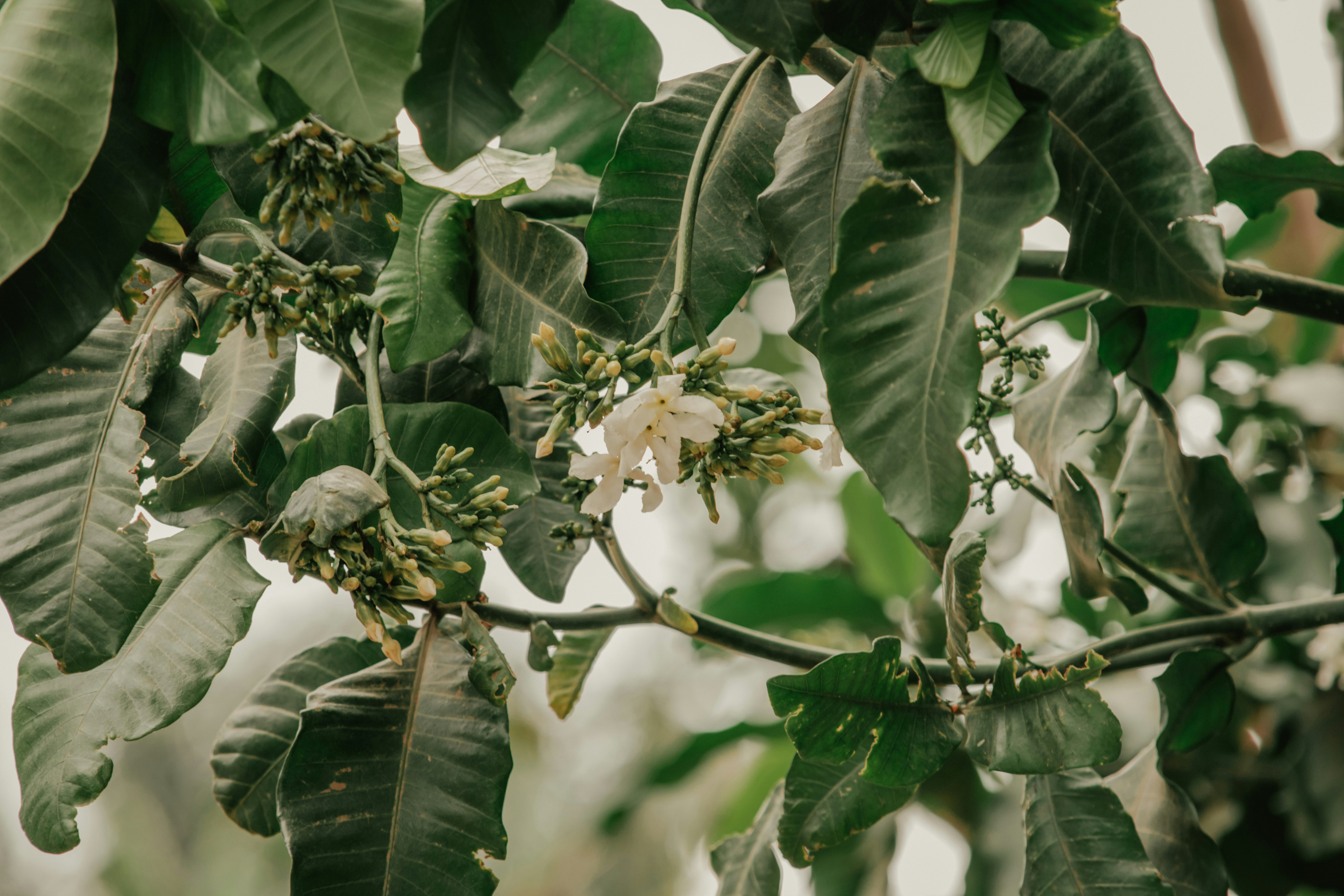 Photo by utunzajiwamazingira