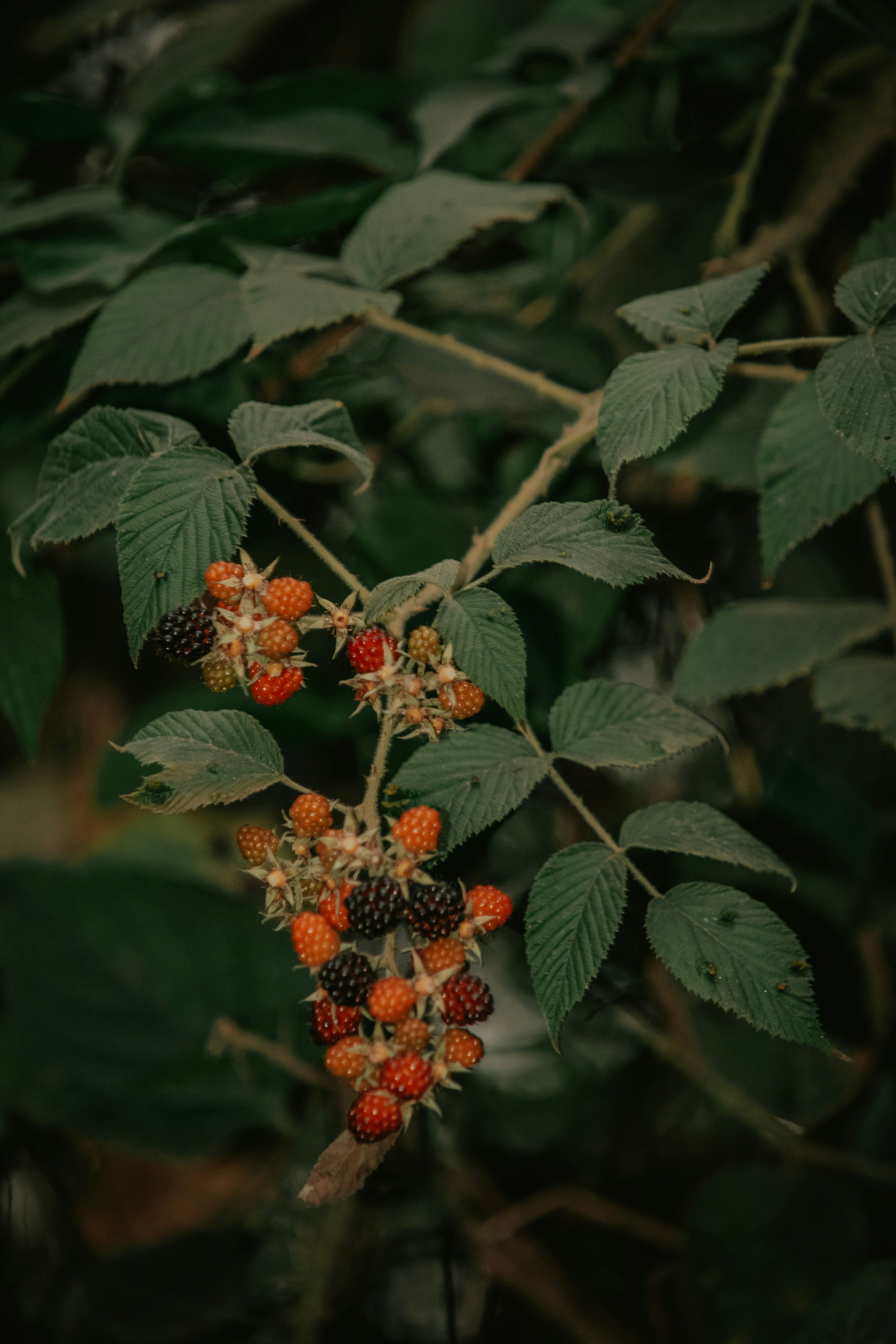 Photo by utunzajiwamazingira