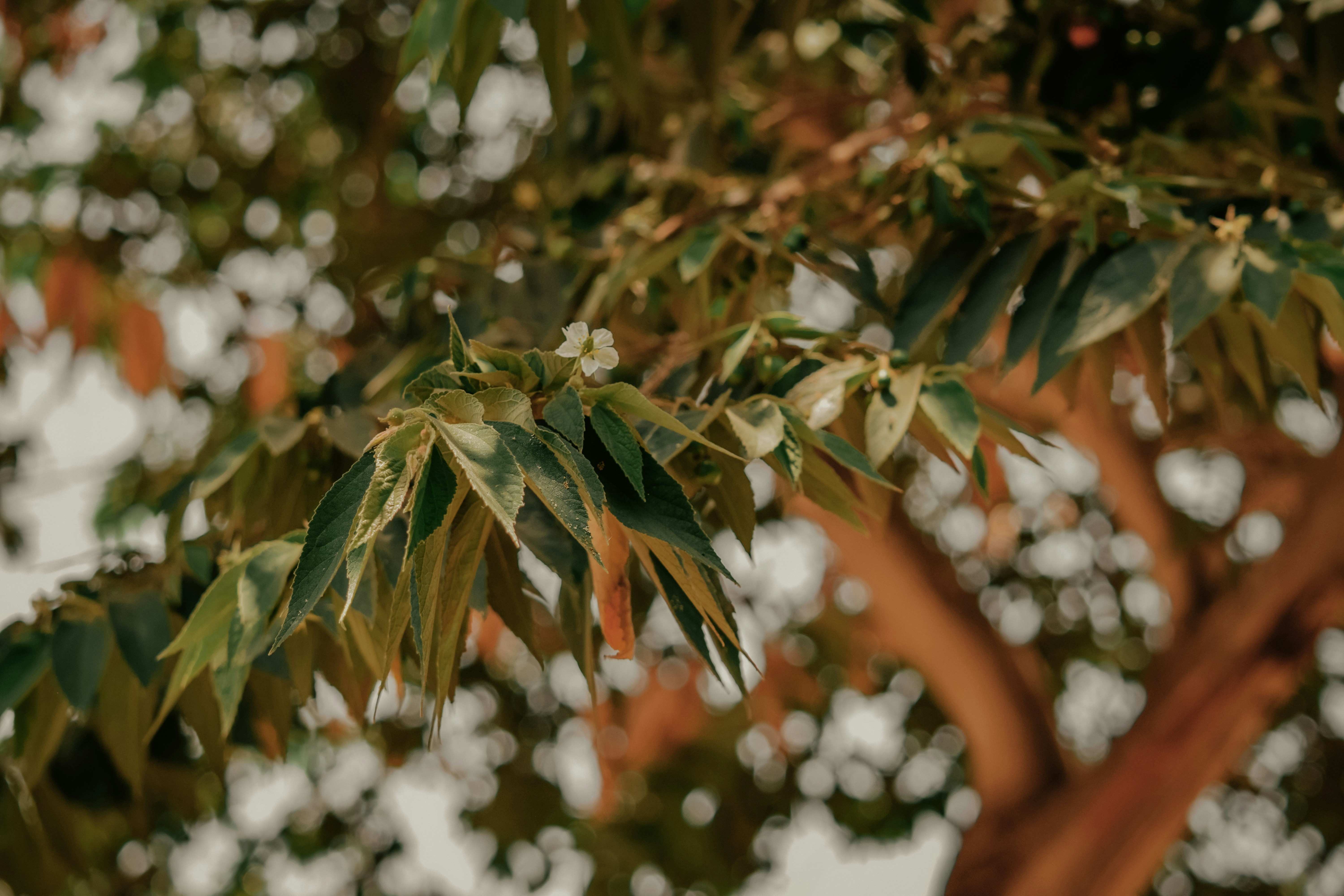 Photo by utunzajiwamazingira