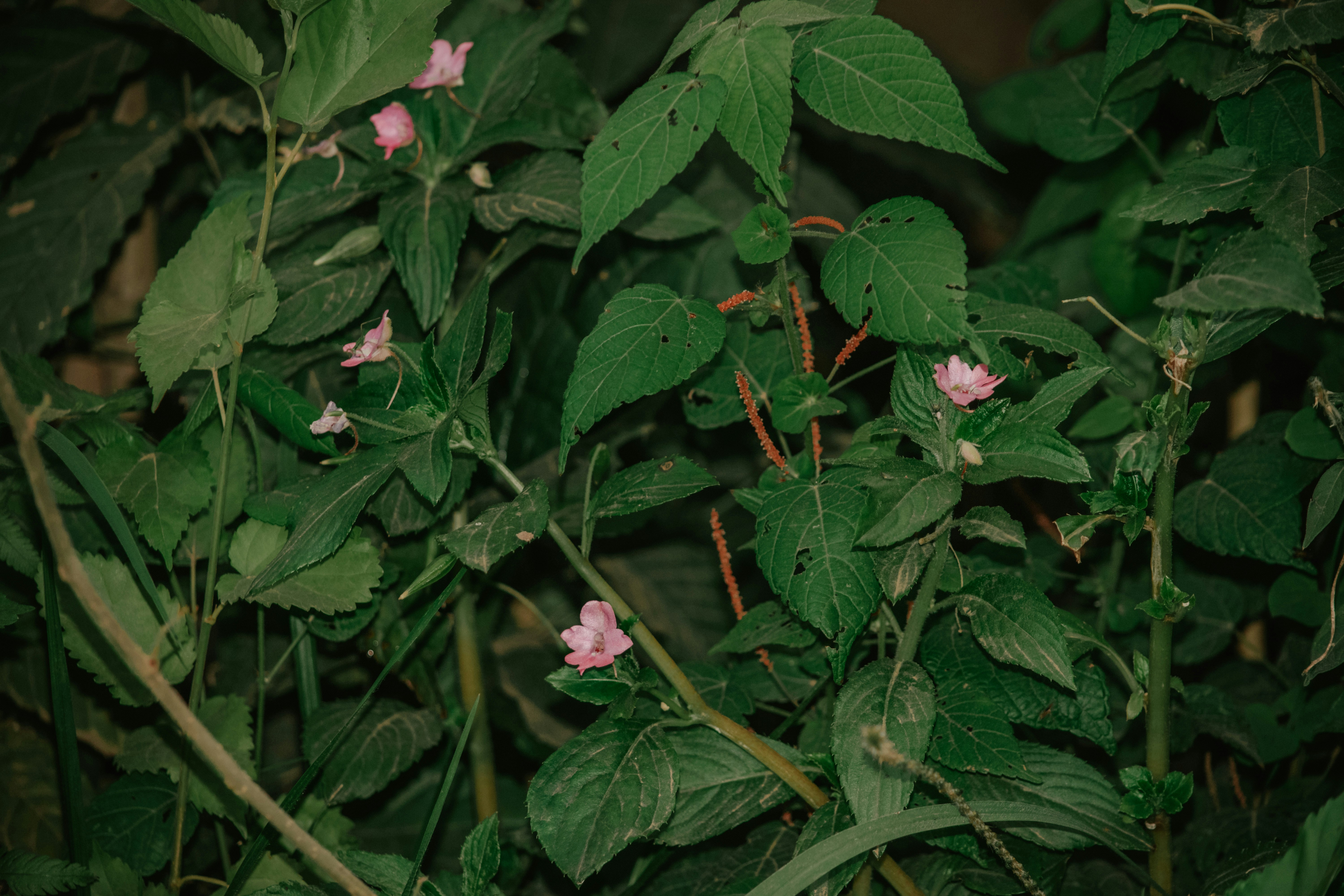 Photo by utunzajiwamazingira