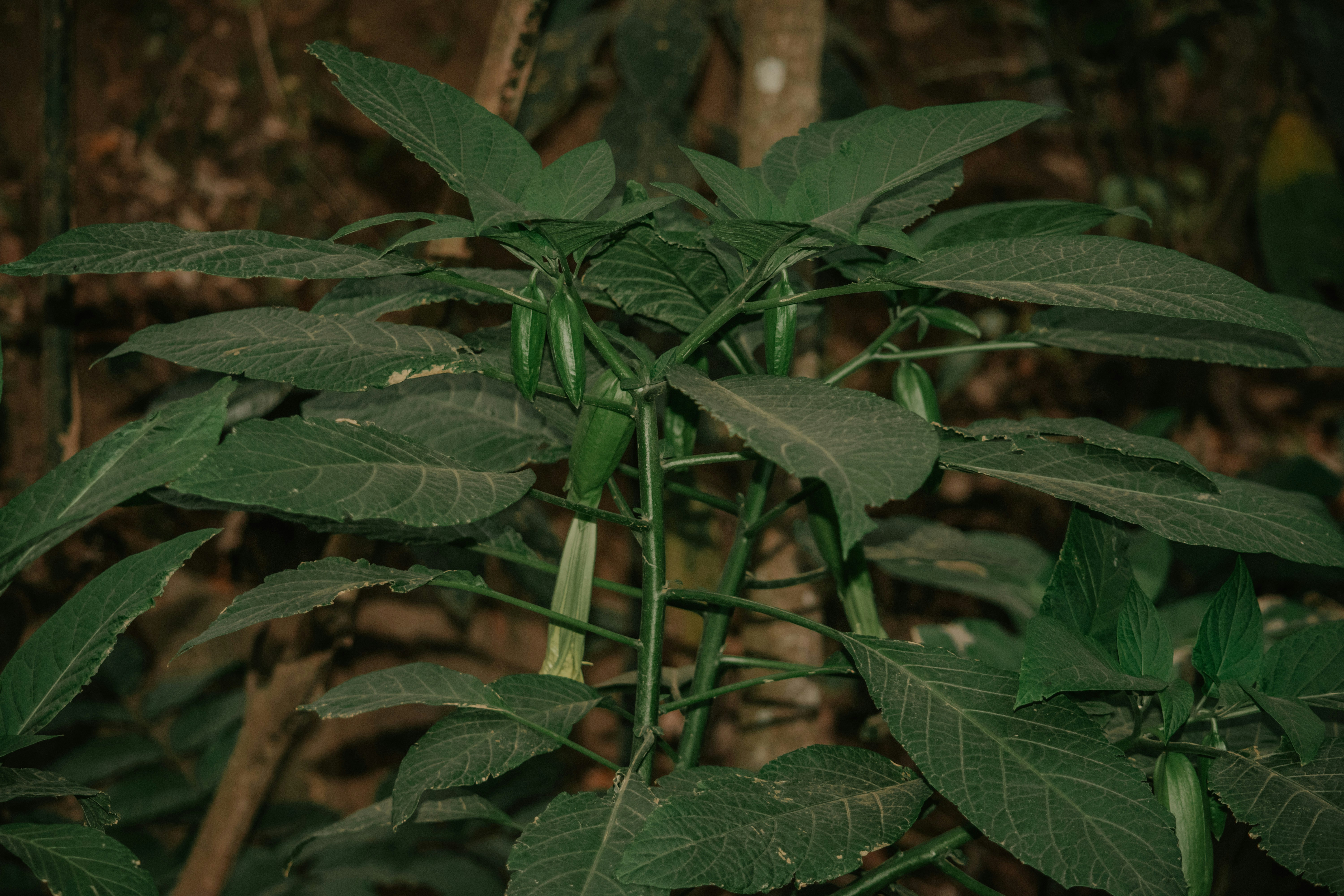 Photo by utunzajiwamazingira