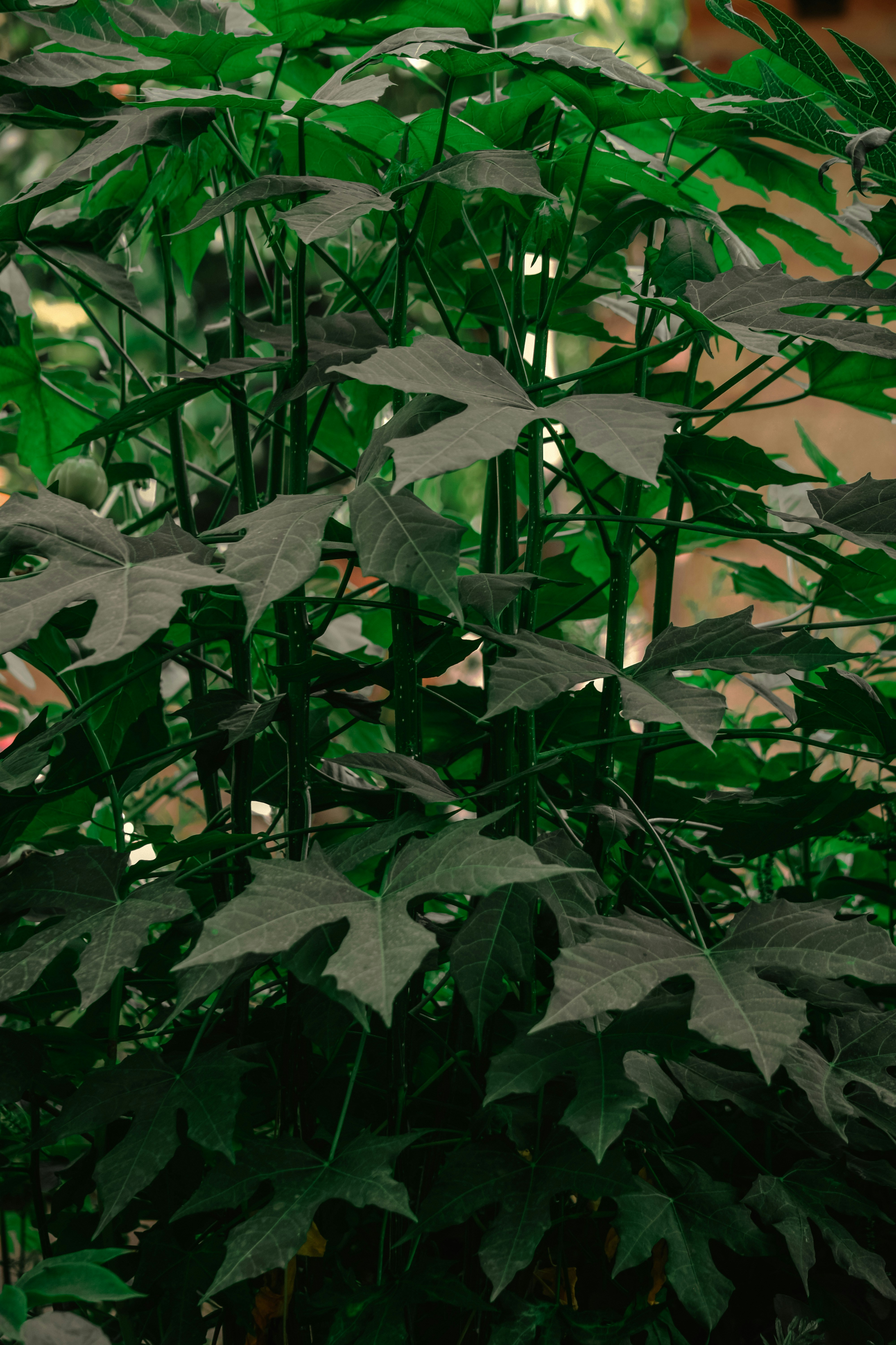 Photo by utunzajiwamazingira