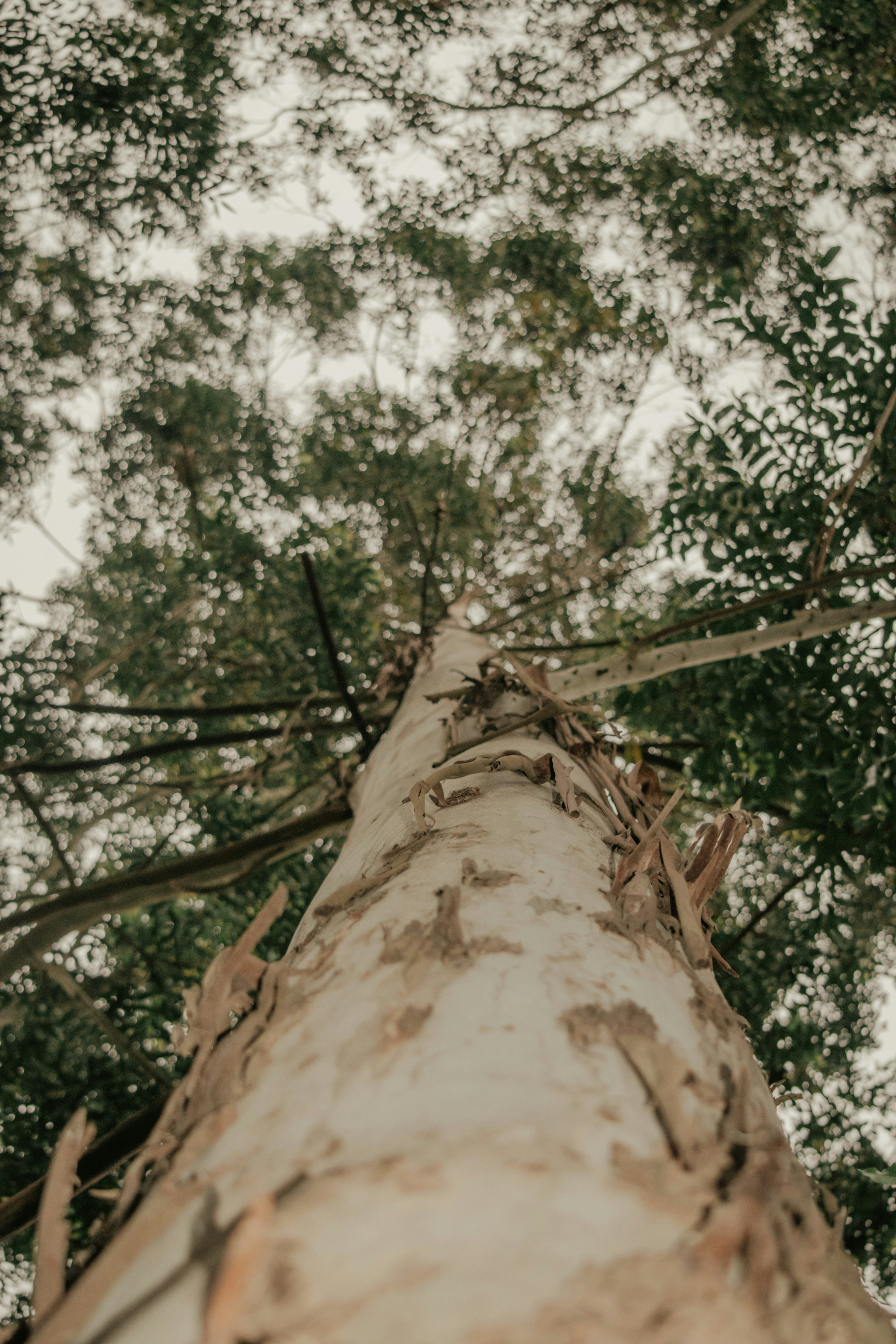 Photo by utunzajiwamazingira