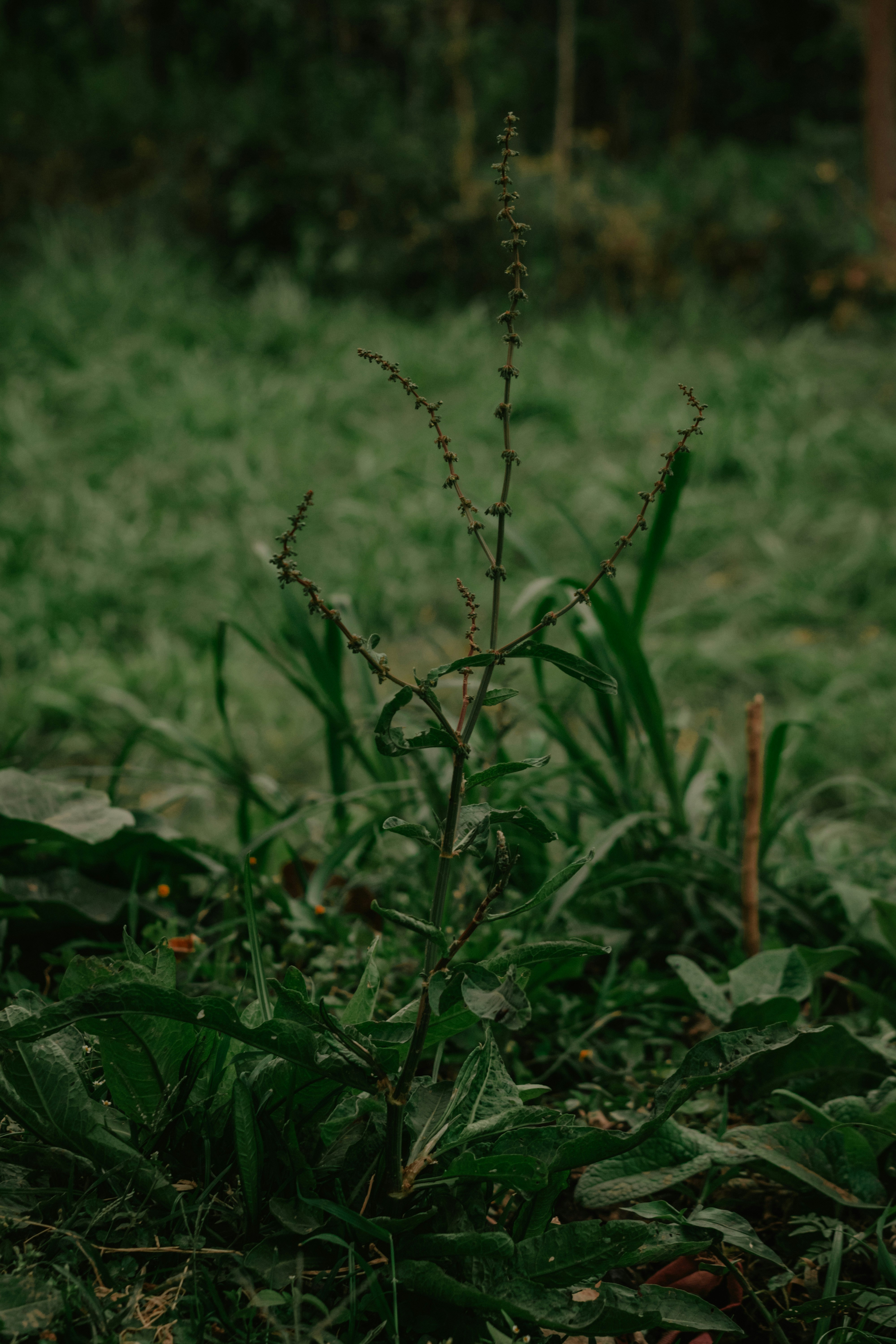 Photo by utunzajiwamazingira