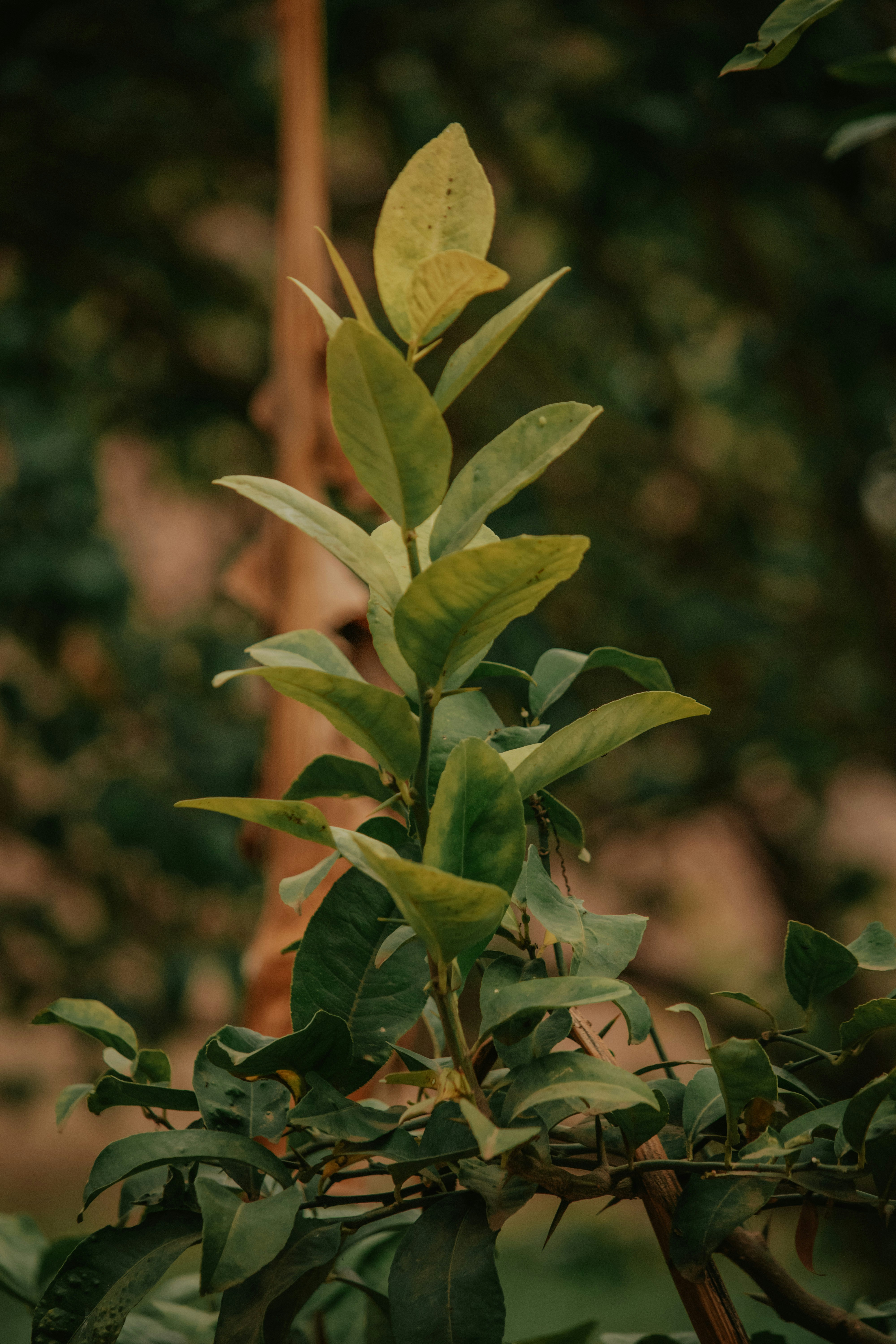 Photo by utunzajiwamazingira