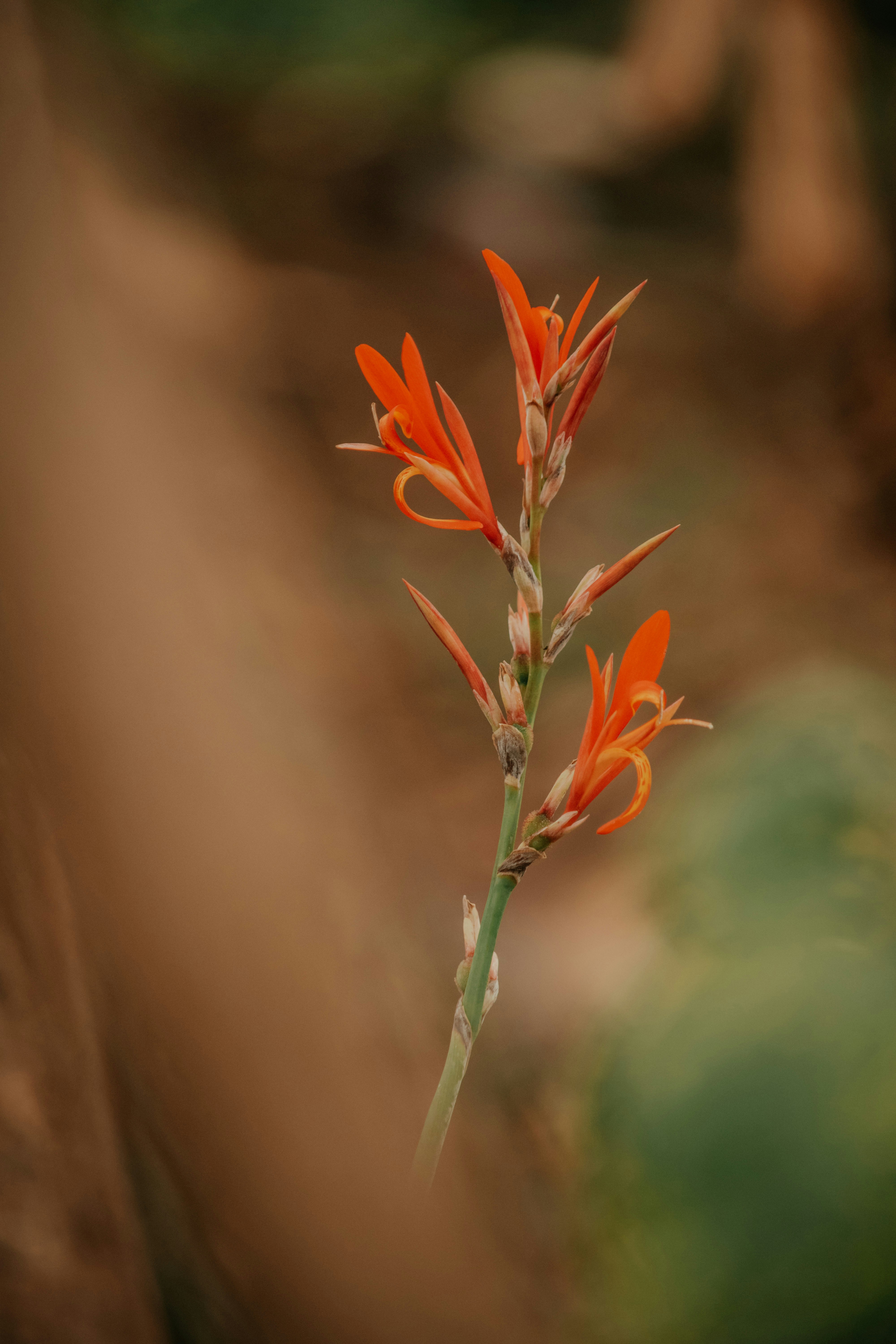 Photo by utunzajiwamazingira