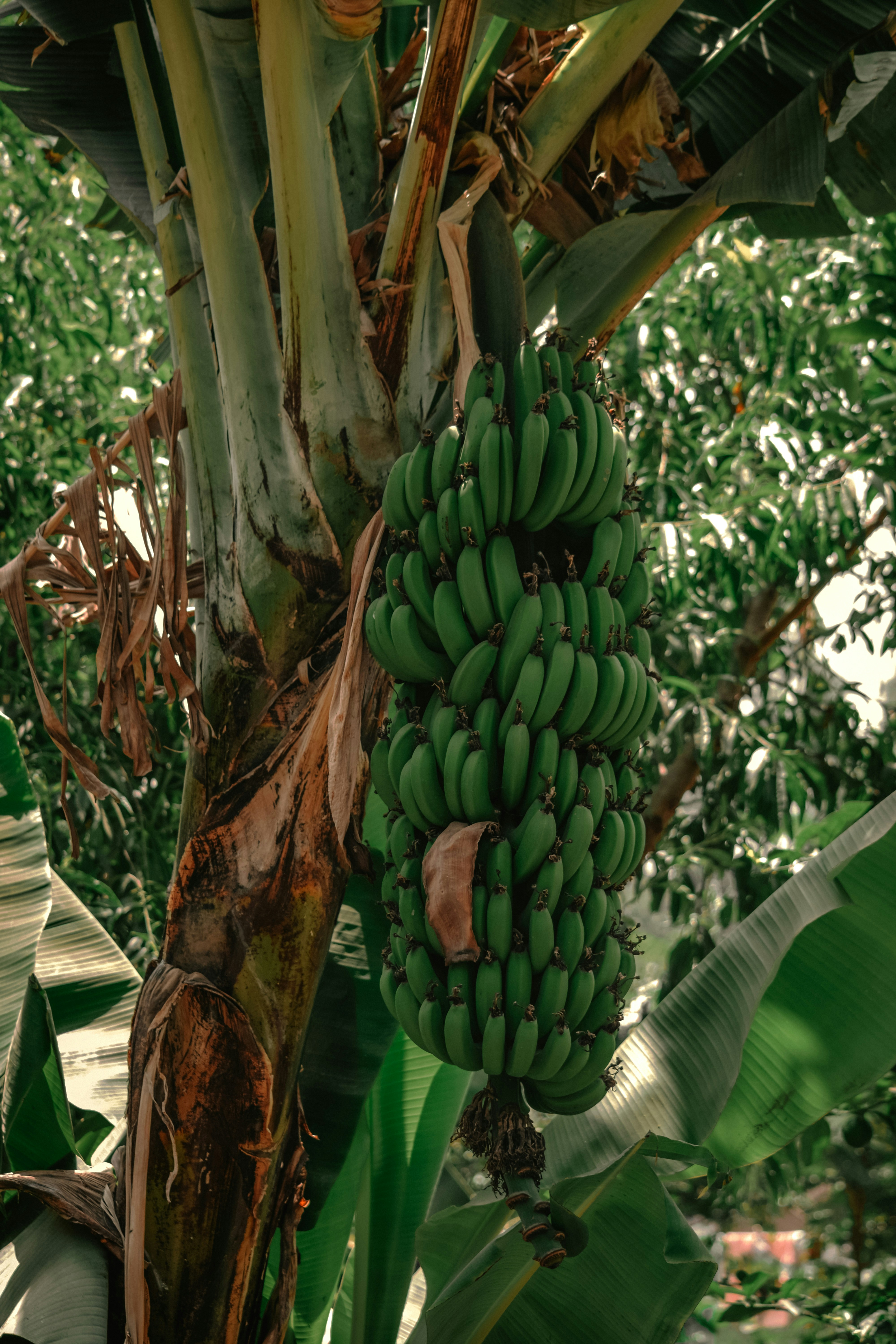 Photo by utunzajiwamazingira