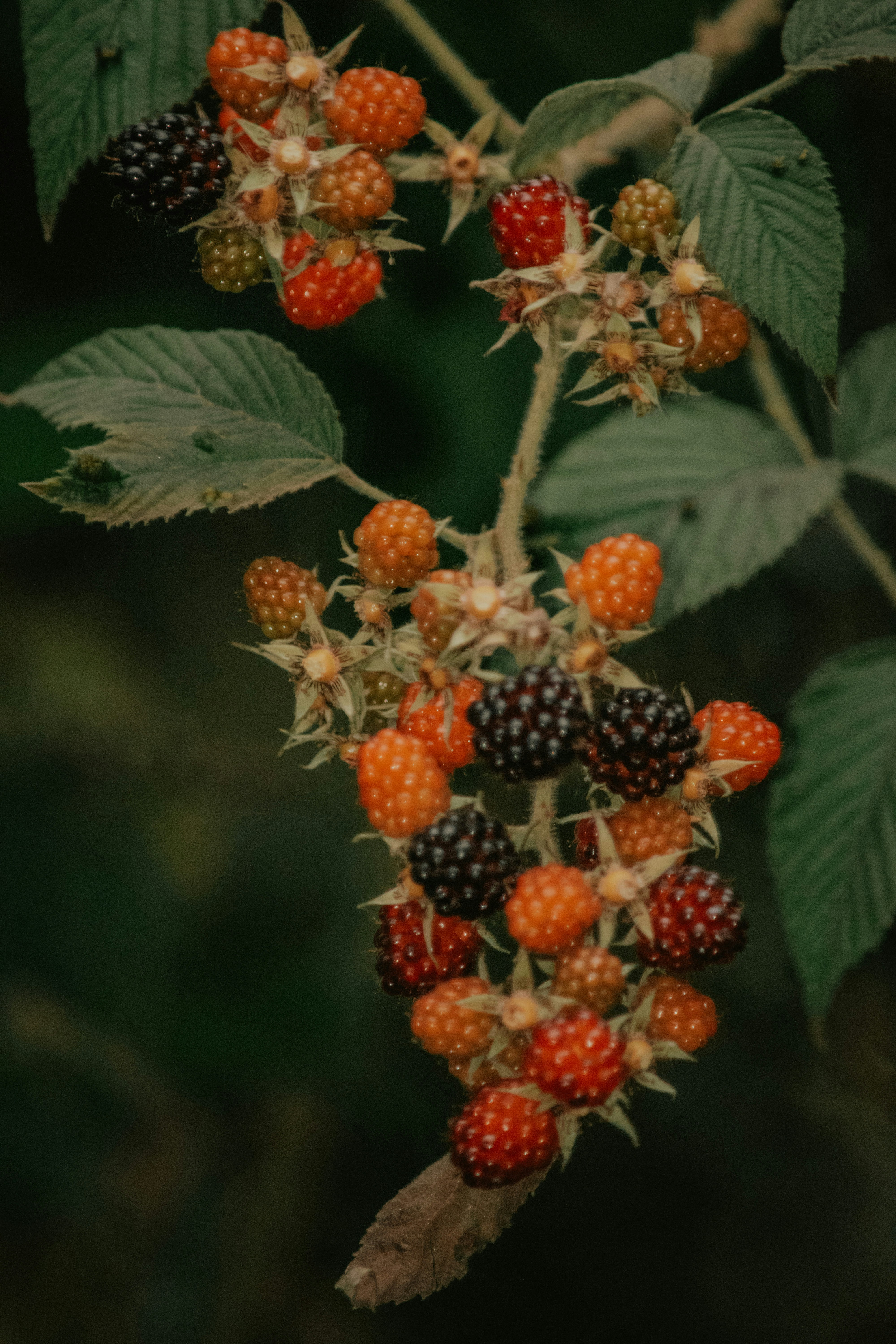 Photo by utunzajiwamazingira