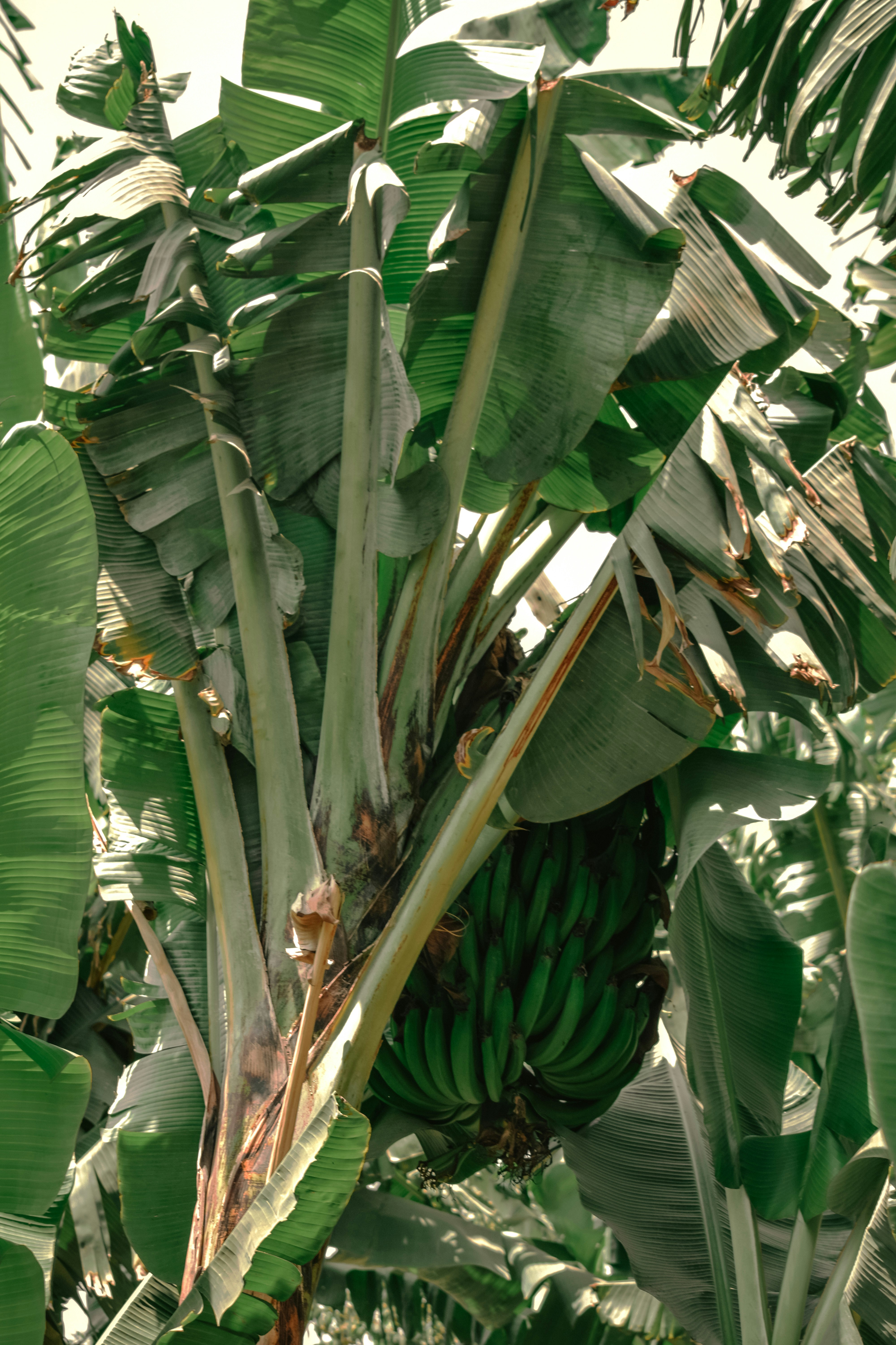 Photo by utunzajiwamazingira