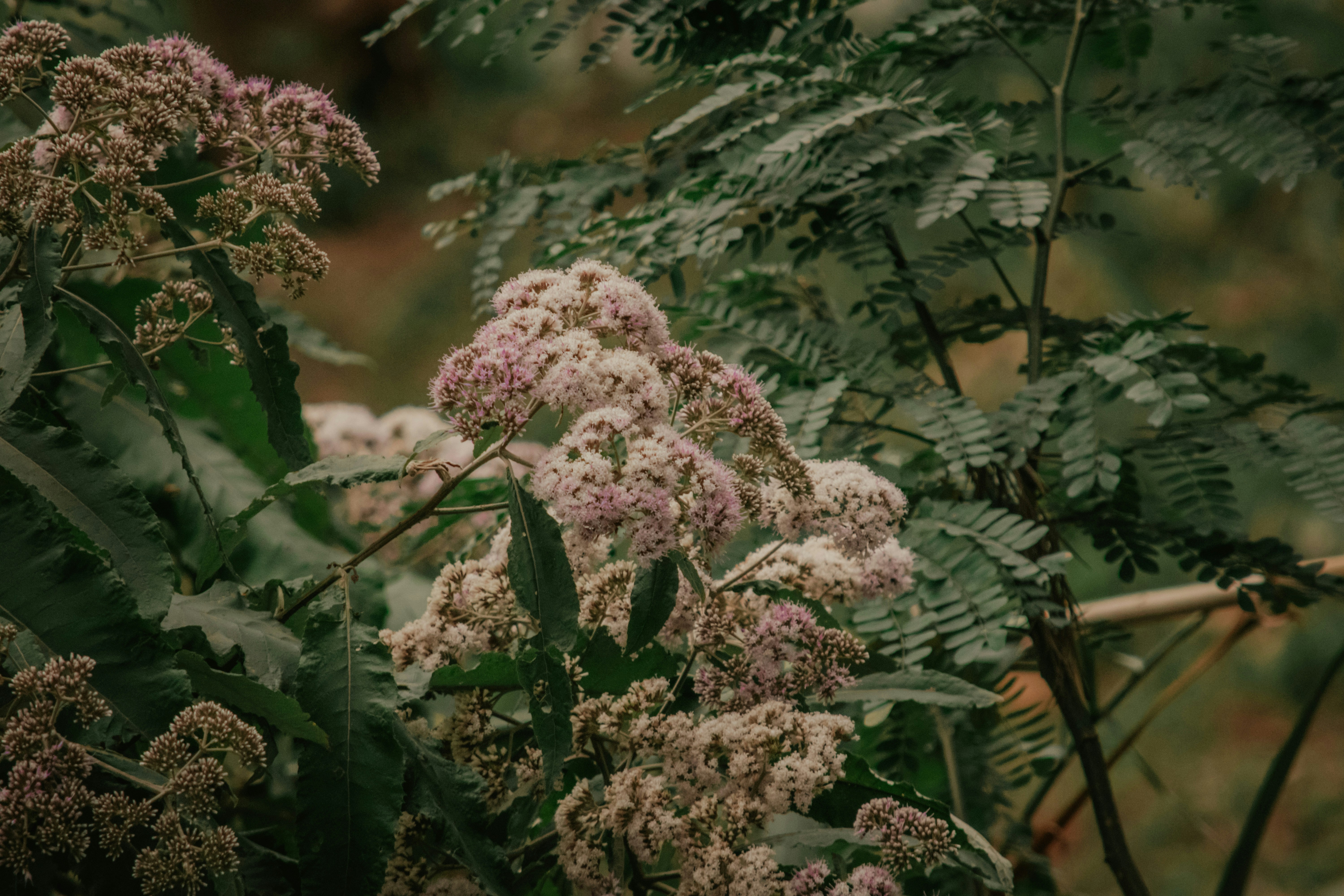 Photo by utunzajiwamazingira