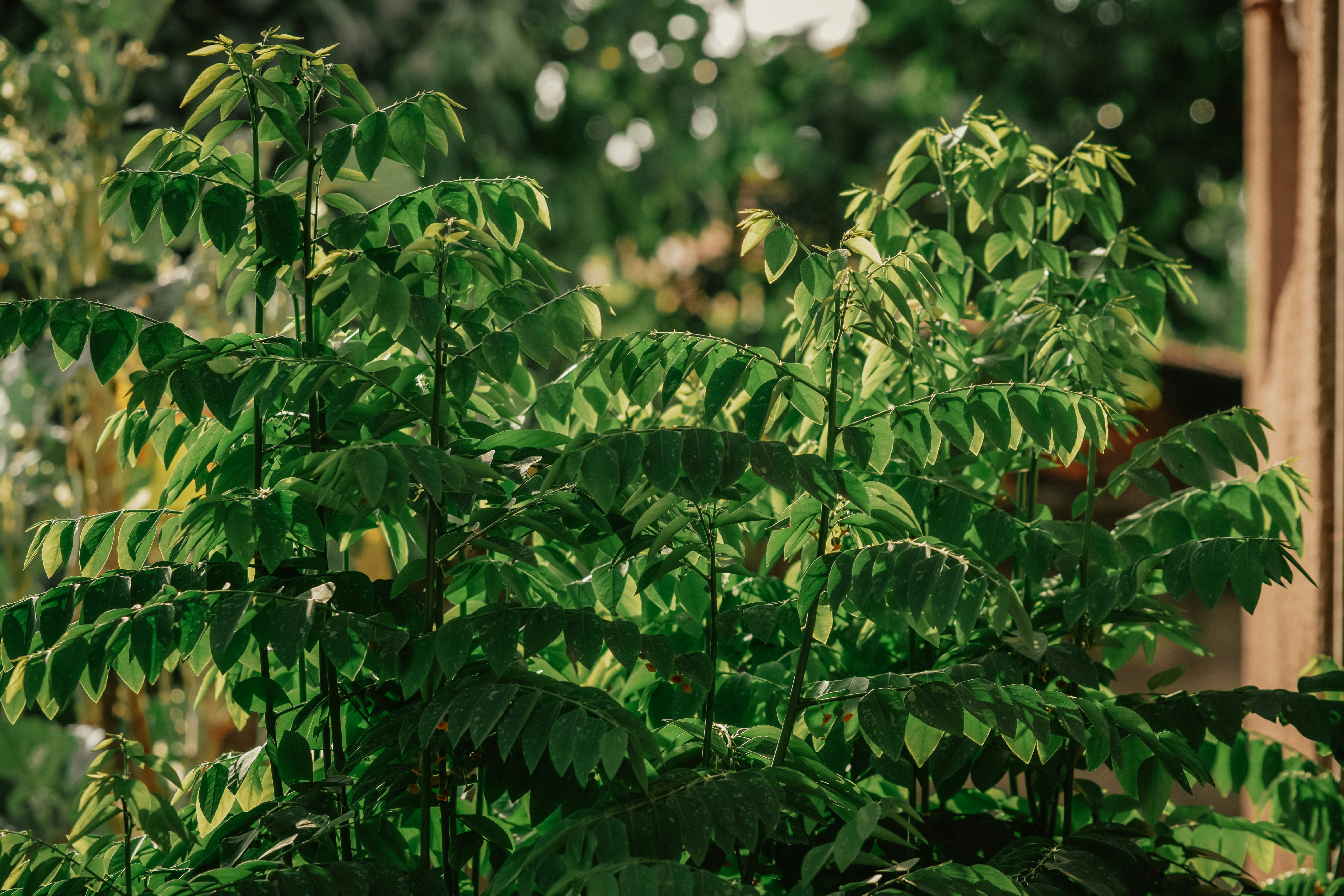 Photo by utunzajiwamazingira