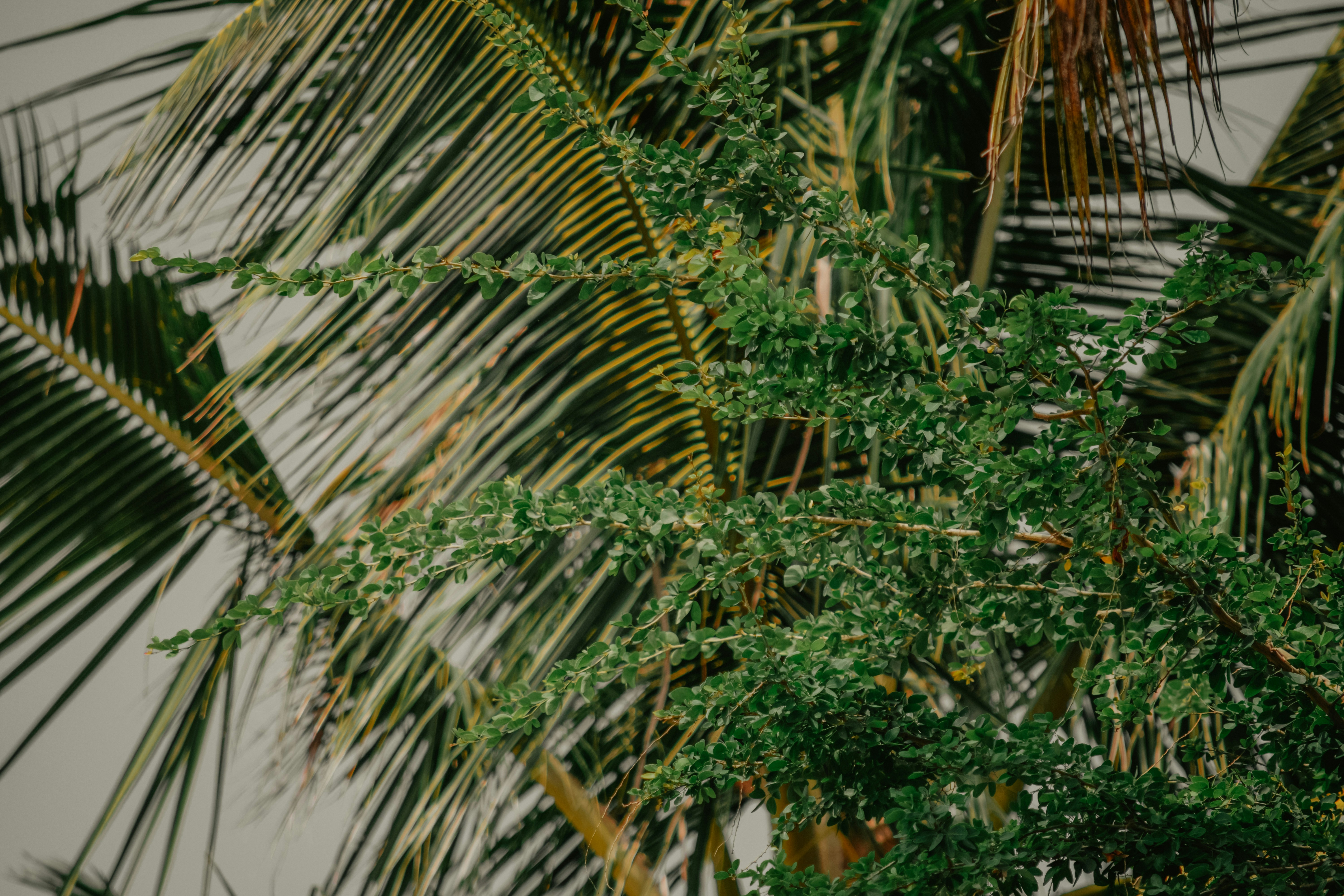 Photo by utunzajiwamazingira