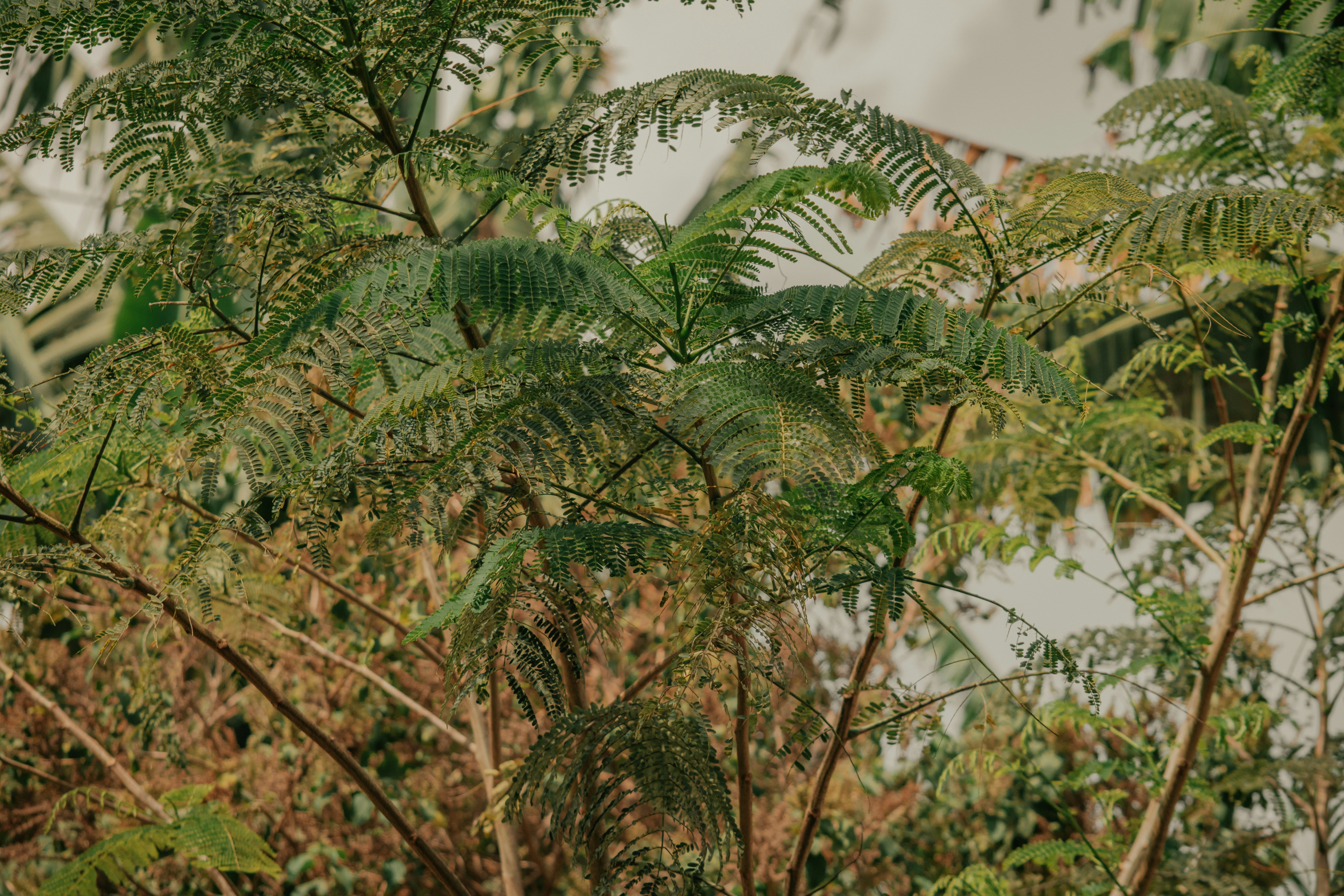 Photo by utunzajiwamazingira