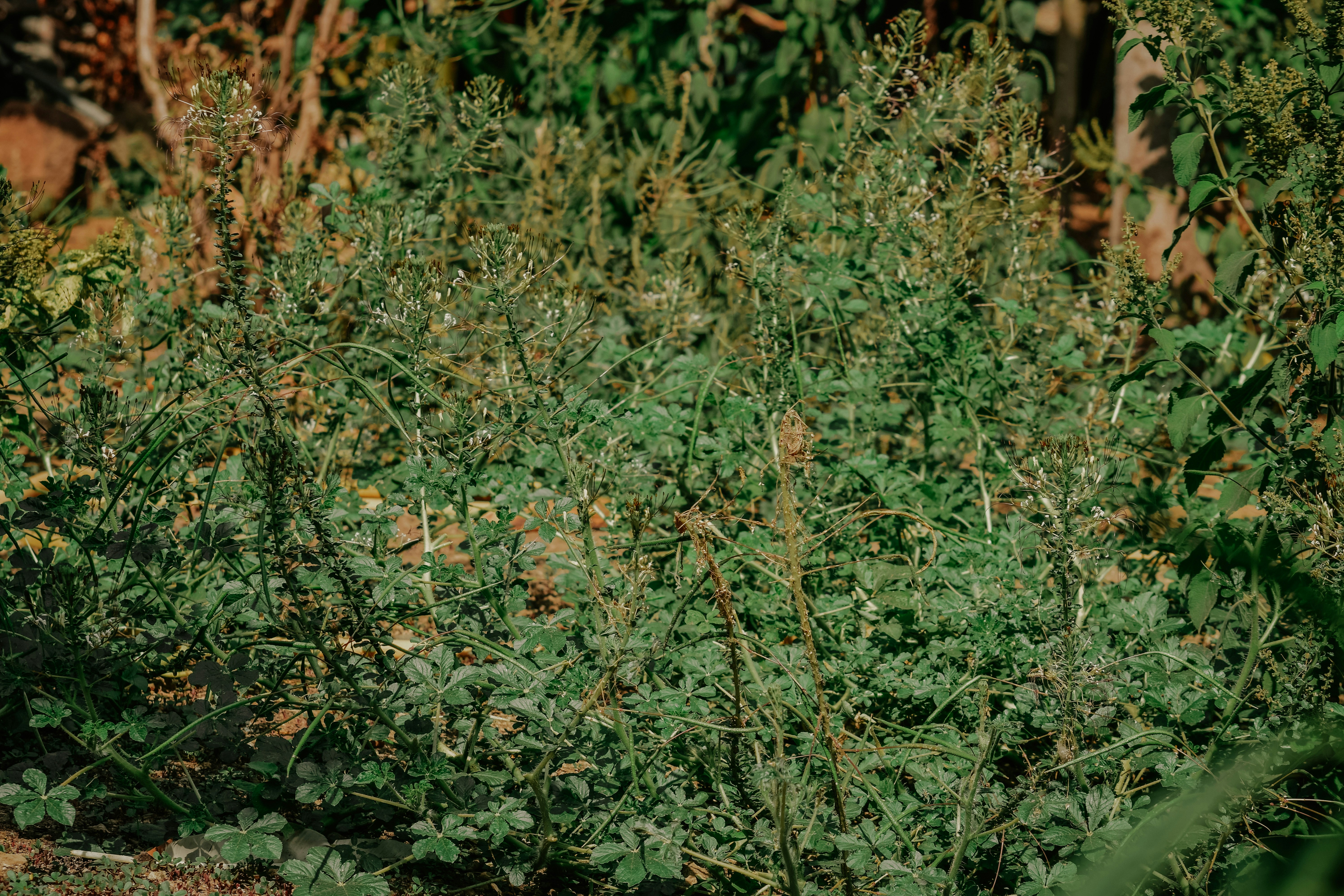 Photo by utunzajiwamazingira