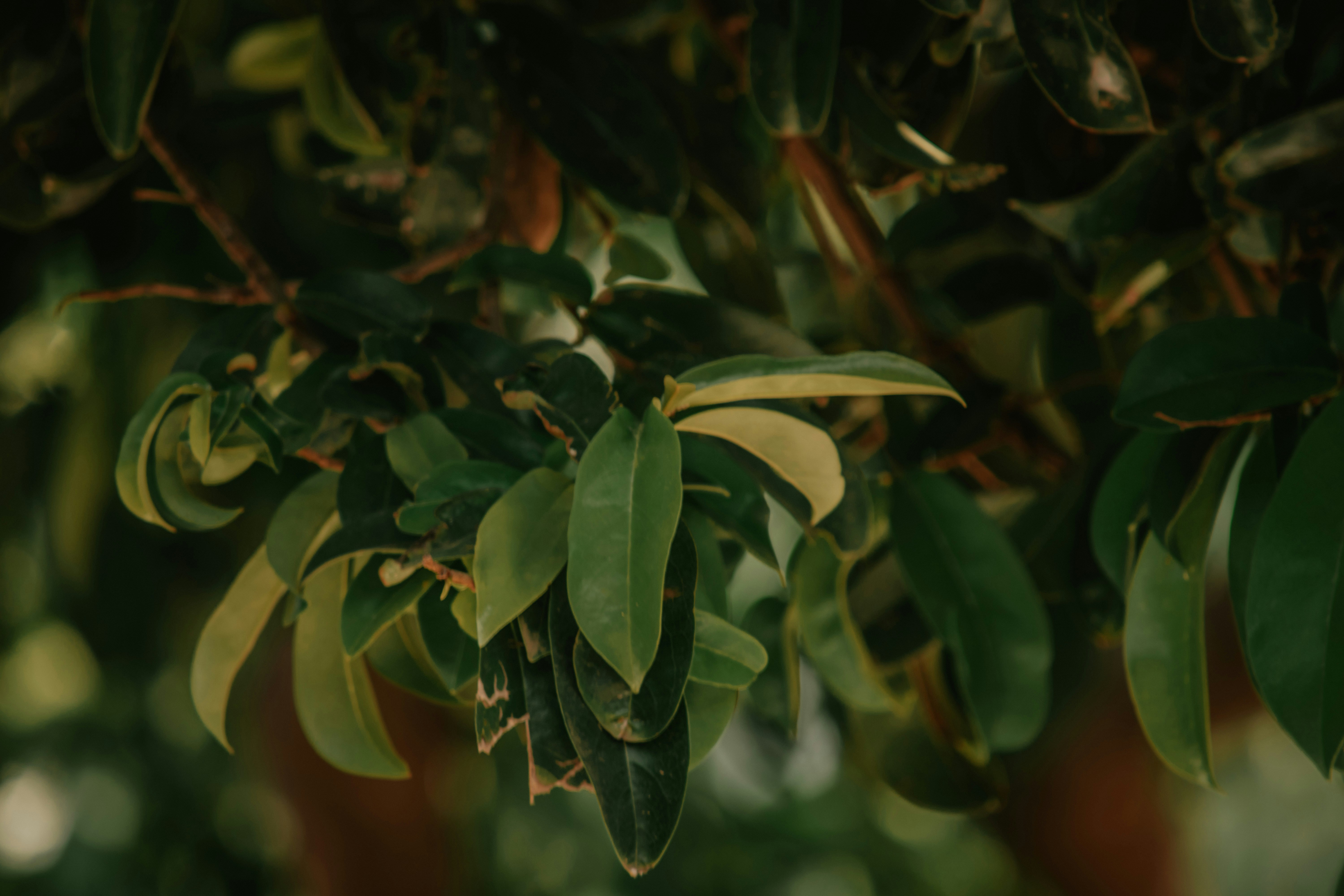 Photo by utunzajiwamazingira