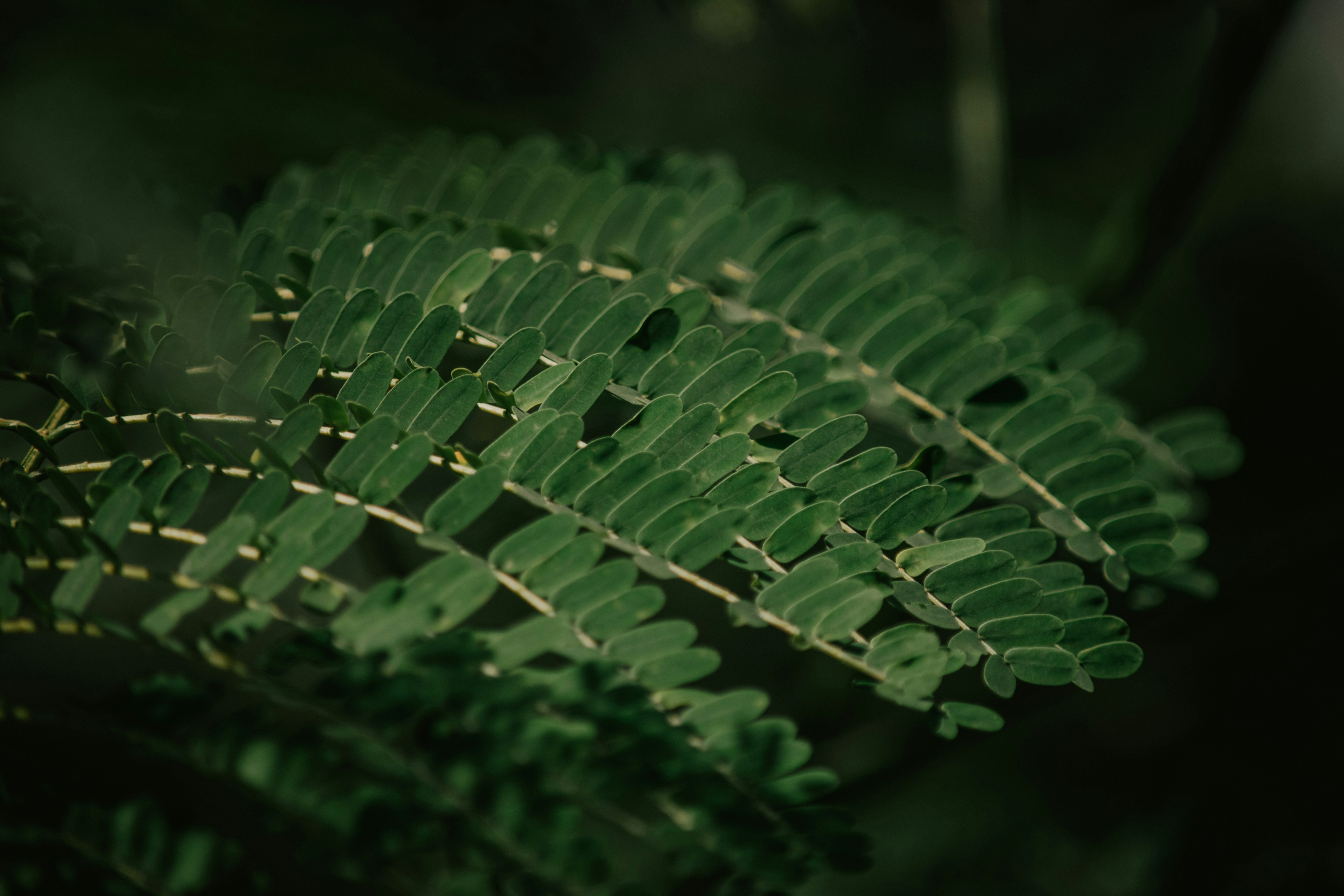 Photo by utunzajiwamazingira