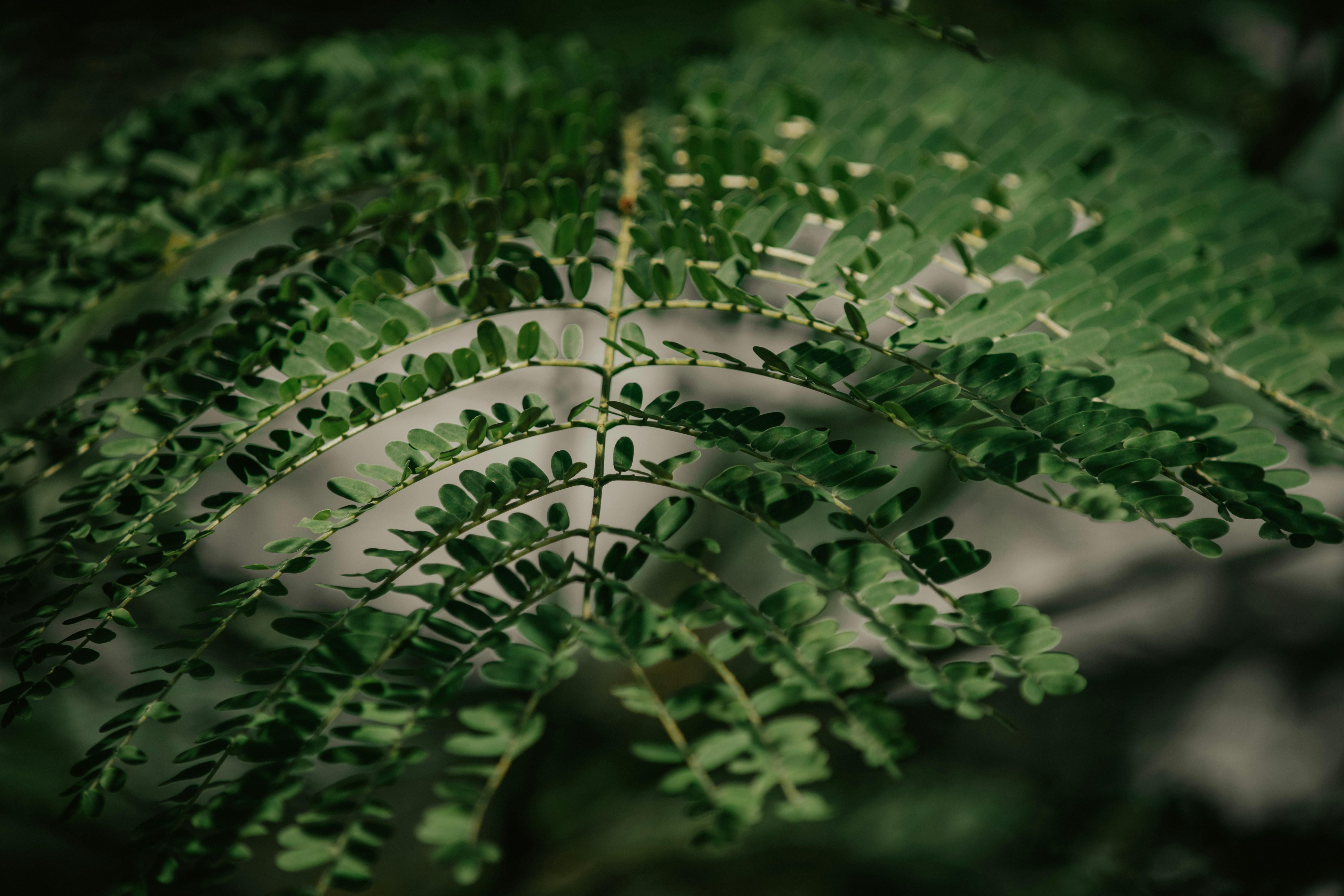 Photo by utunzajiwamazingira