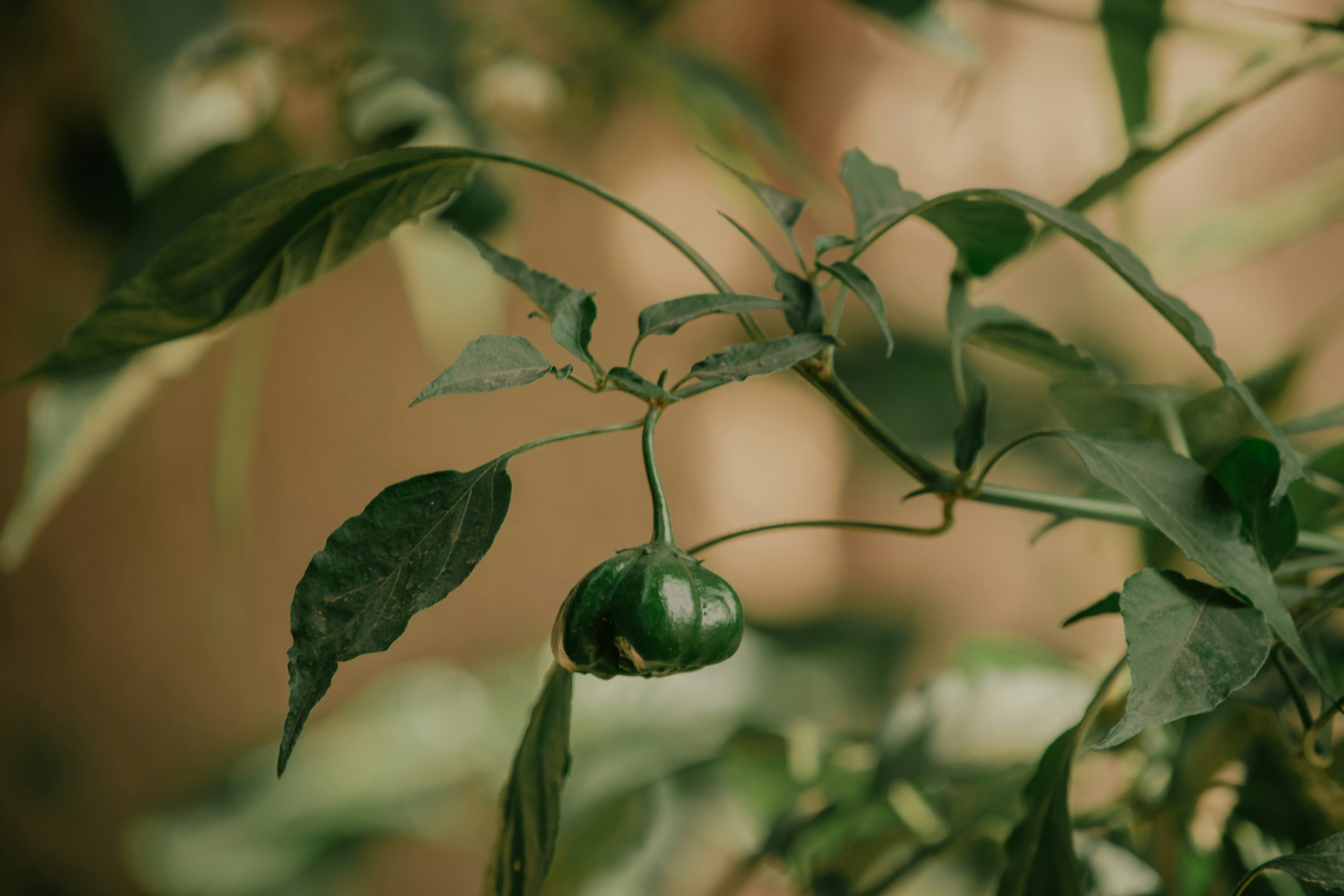 Photo by utunzajiwamazingira