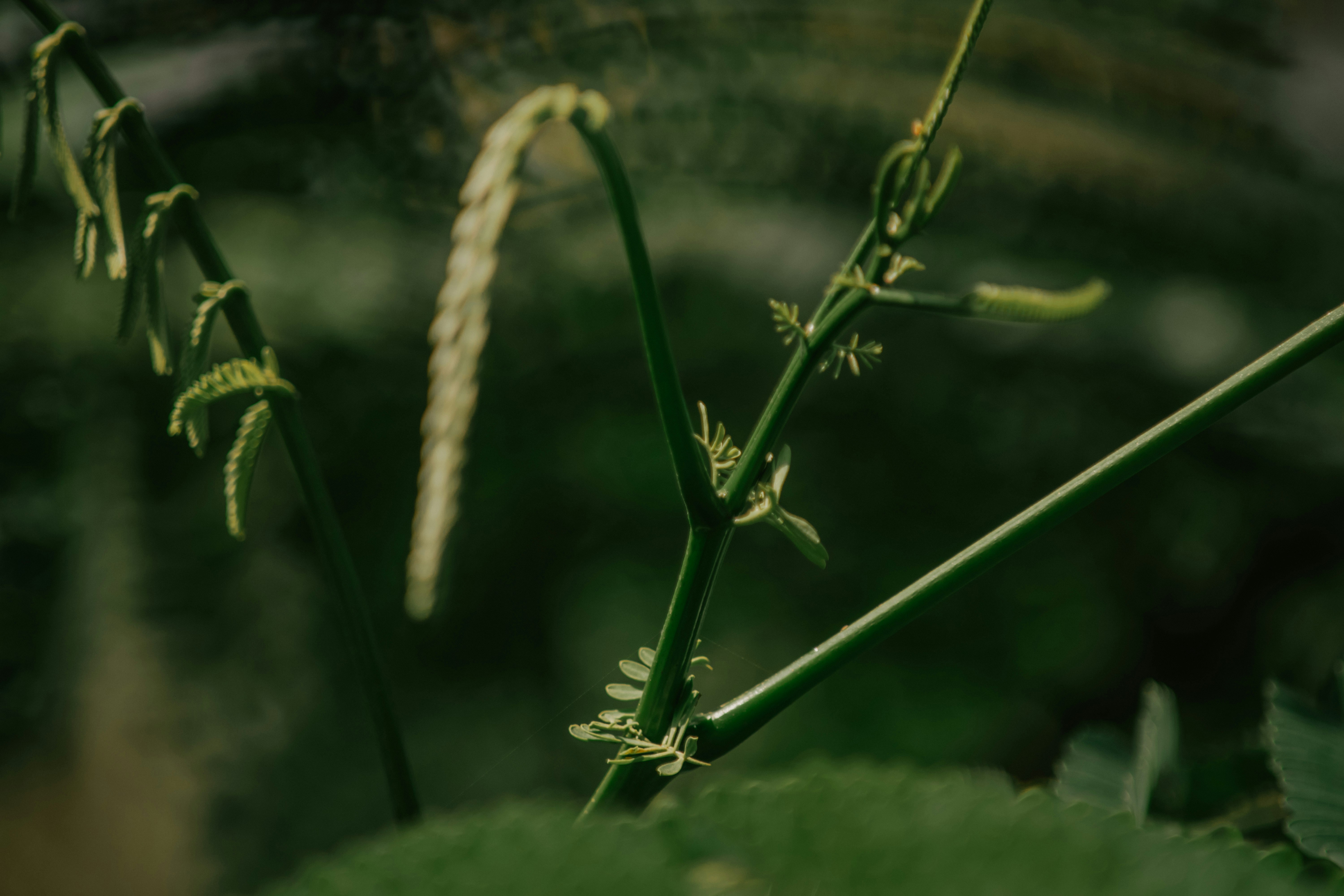 Photo by utunzajiwamazingira