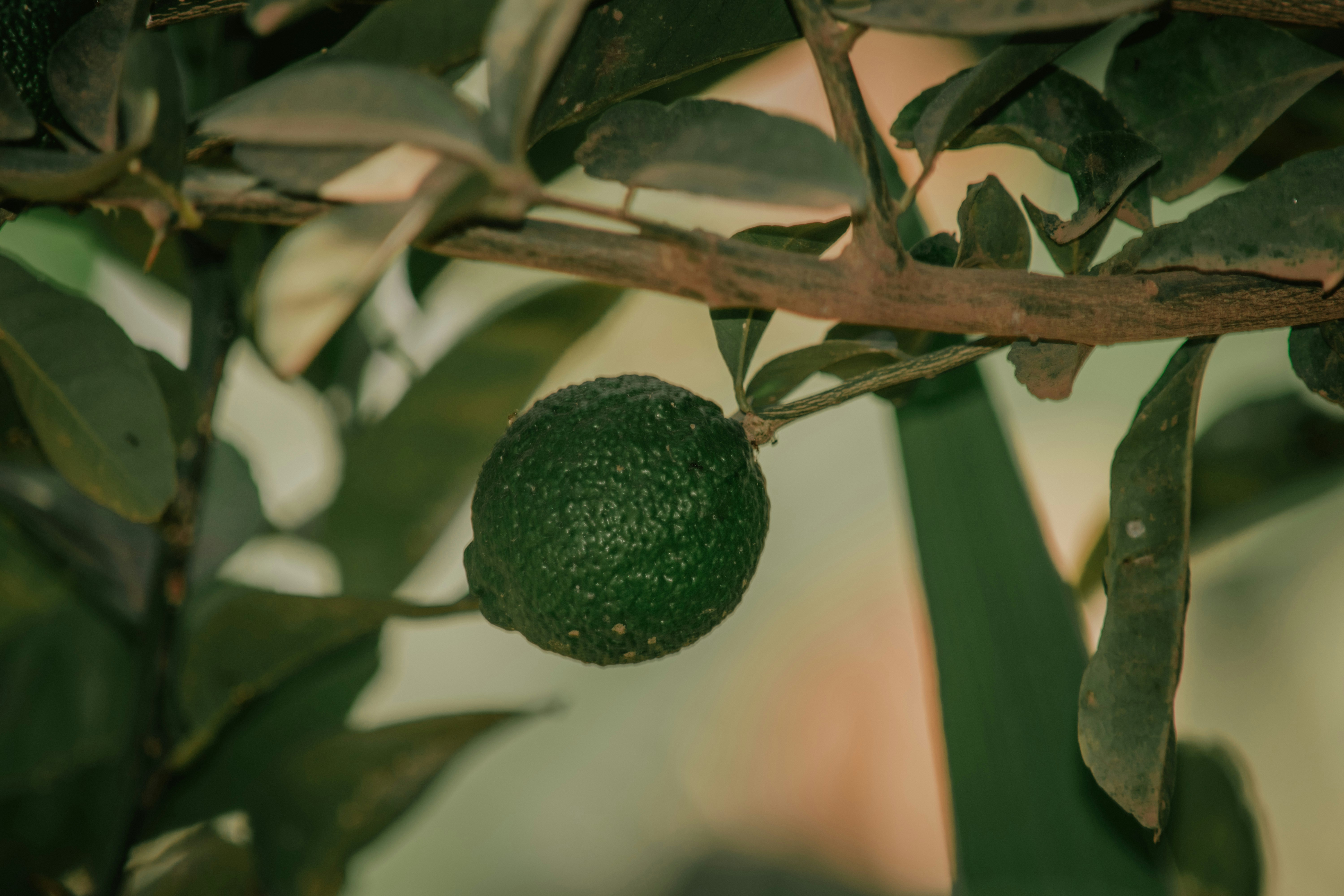 Photo by utunzajiwamazingira