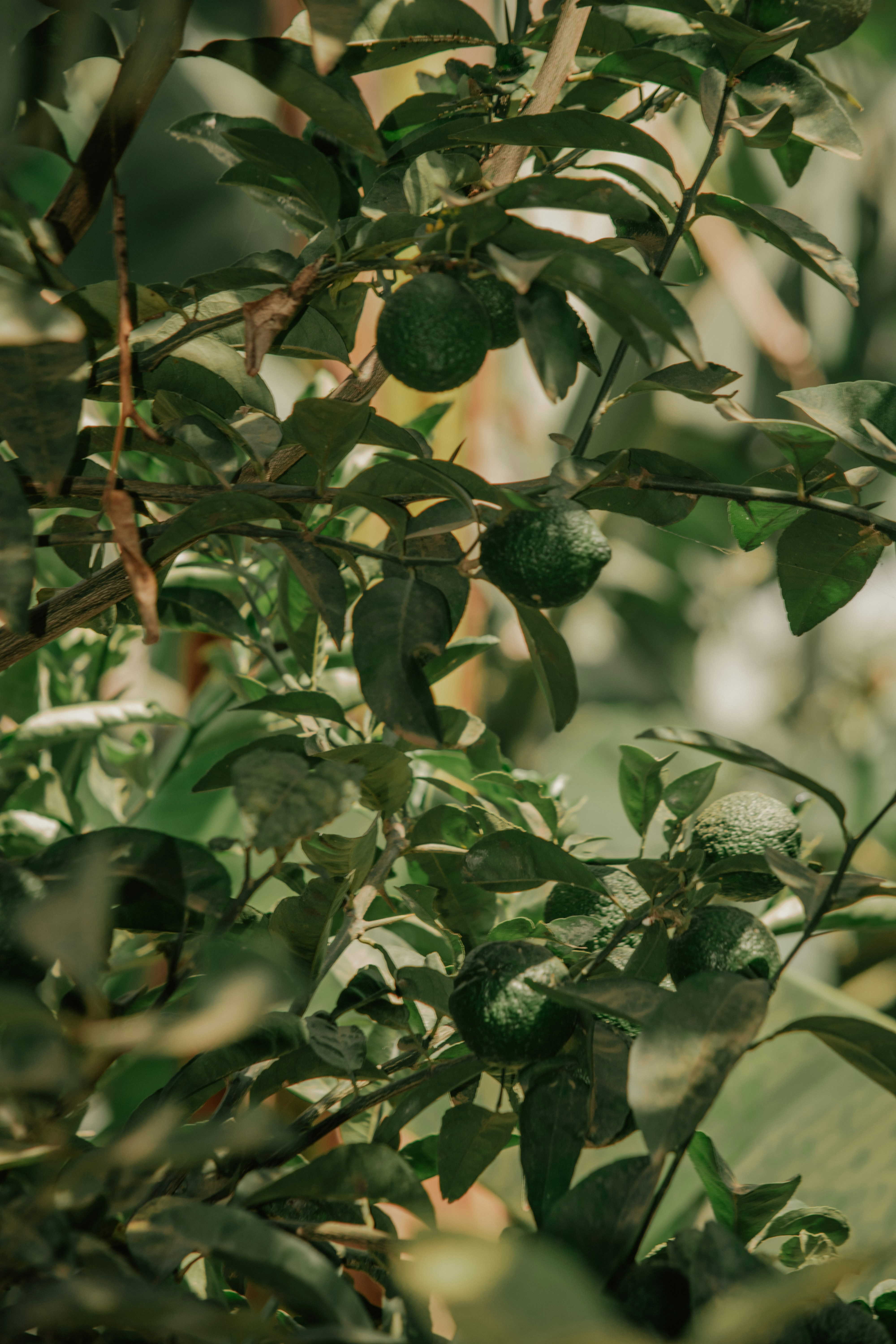 Photo by utunzajiwamazingira