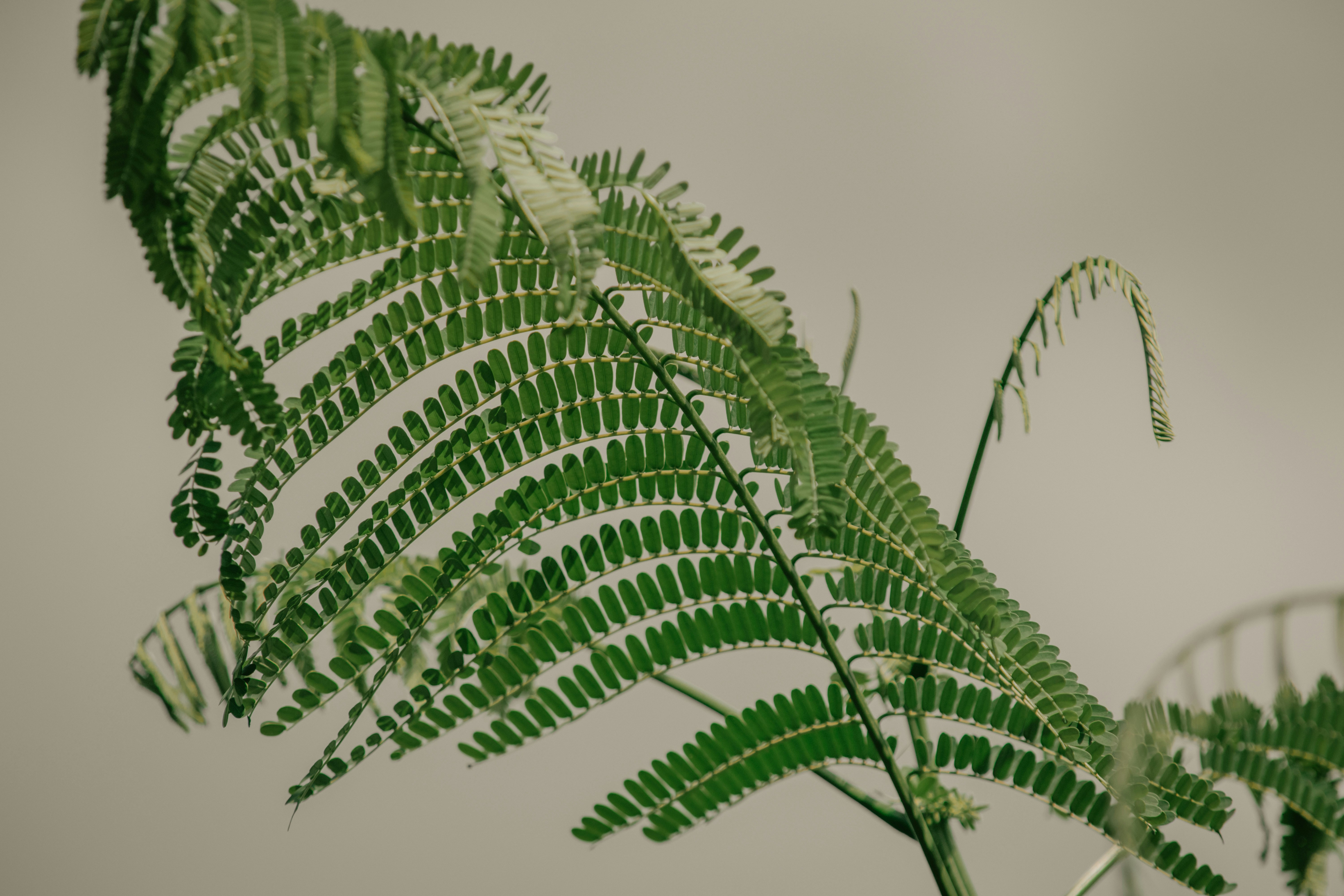 Photo by utunzajiwamazingira