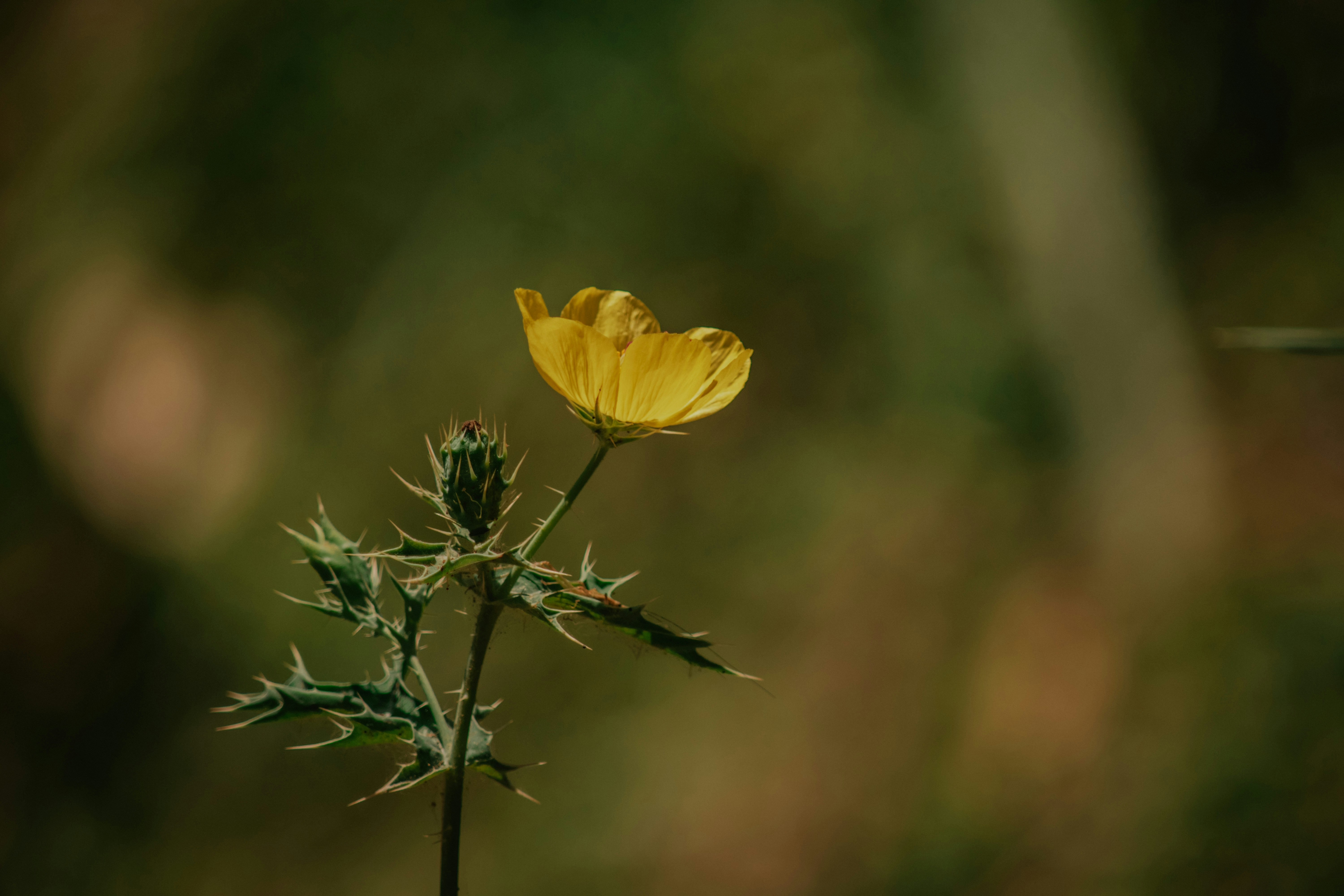 Photo by utunzajiwamazingira