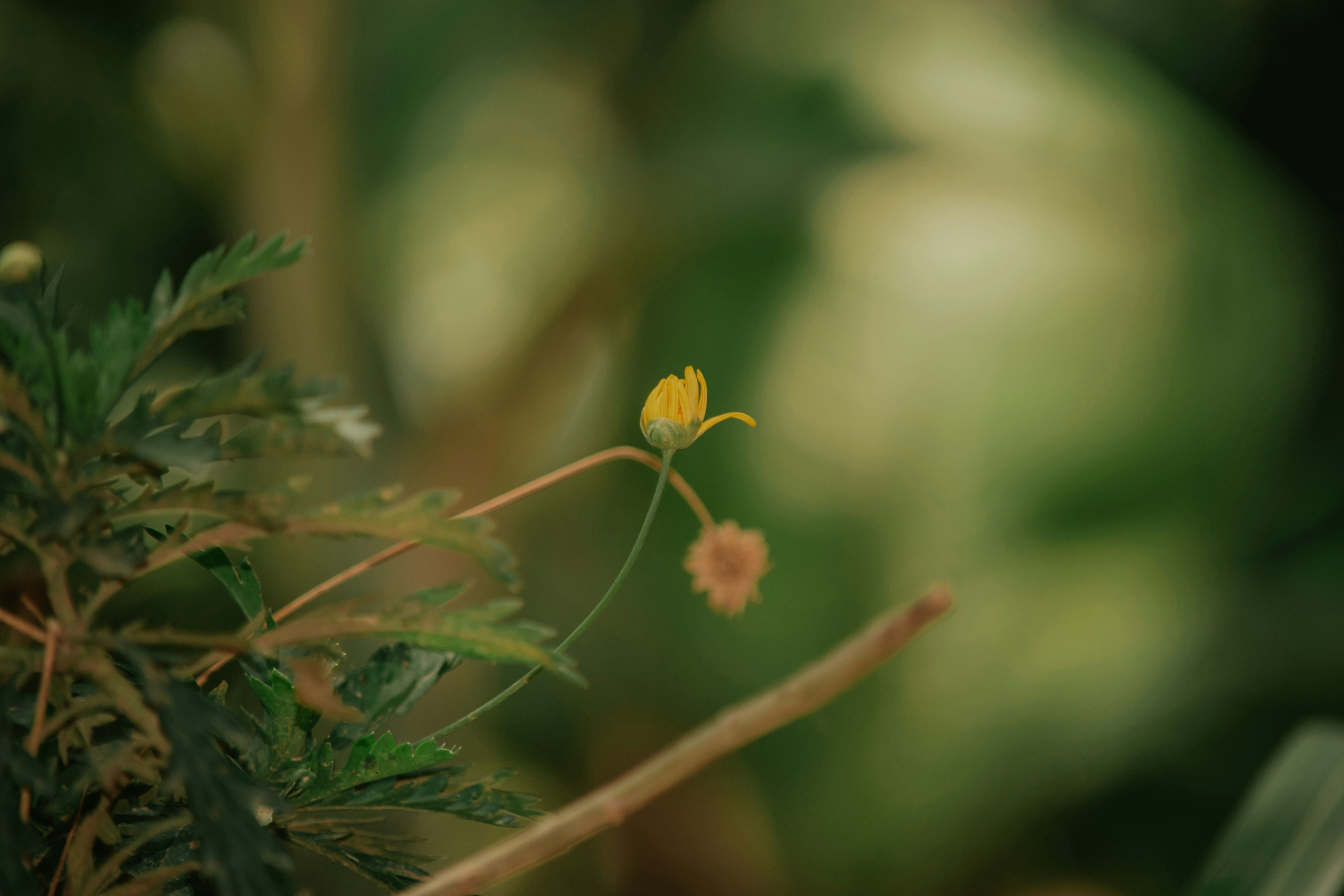 Photo by utunzajiwamazingira