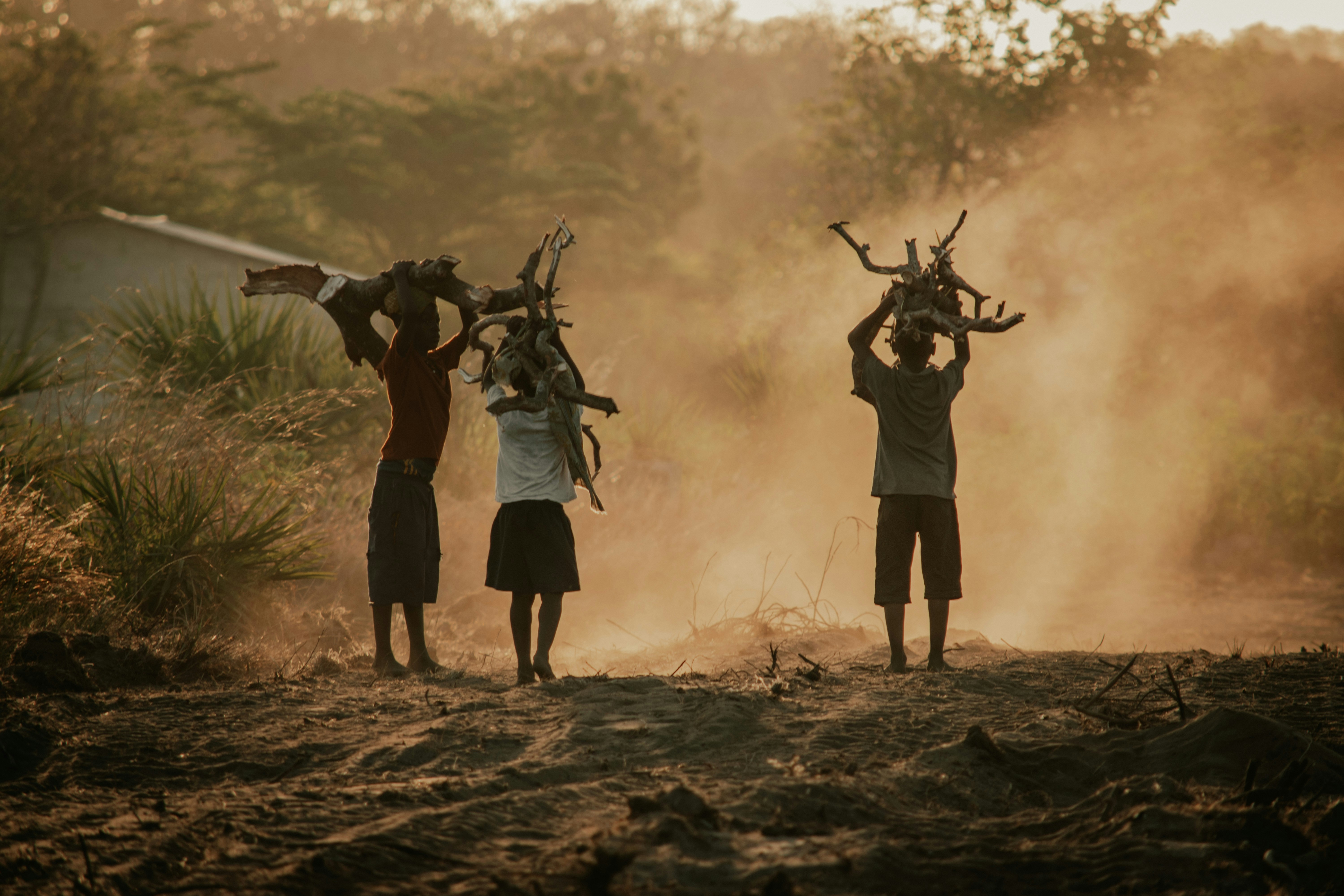 Photo by utunzajiwamazingira