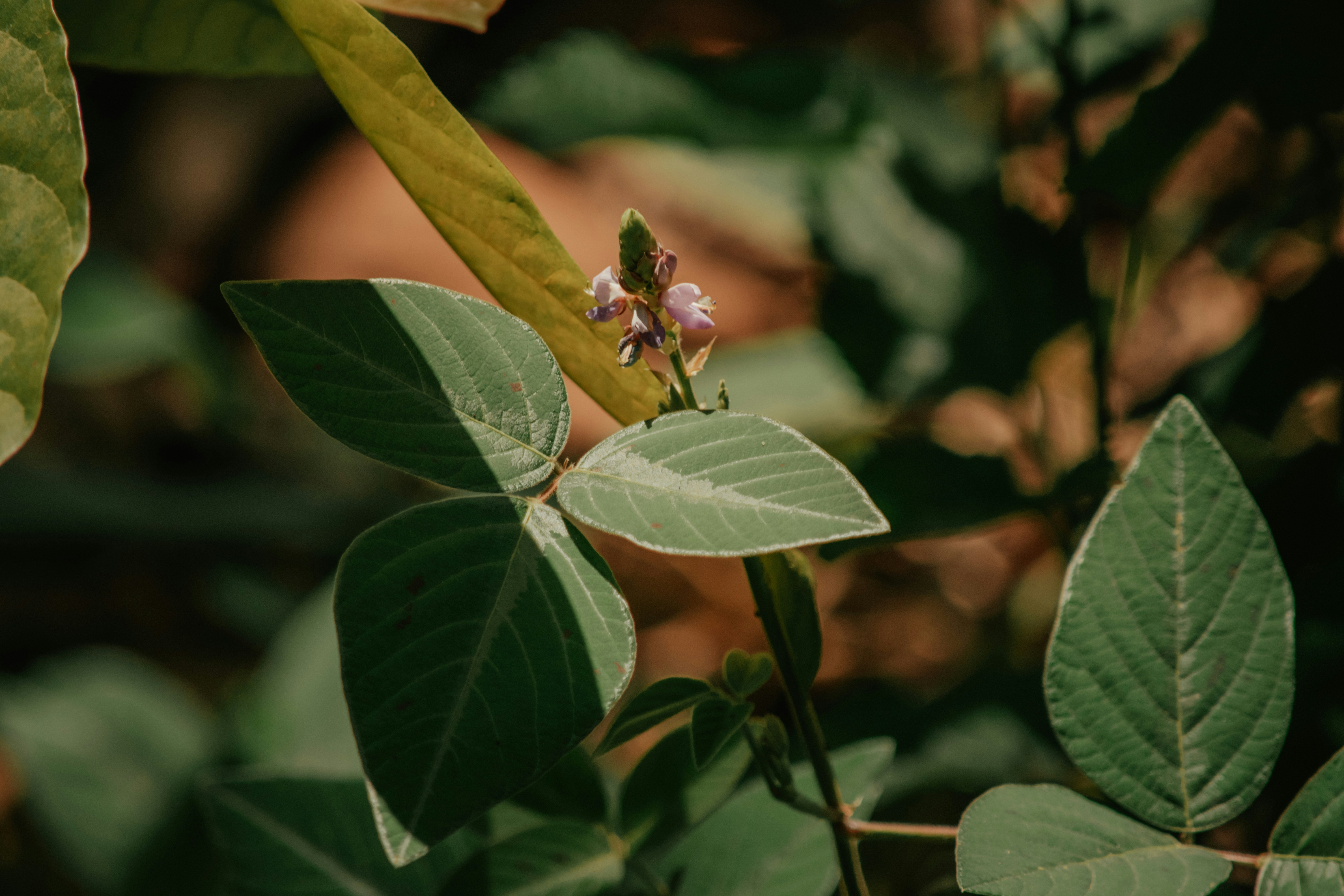 Photo by utunzajiwamazingira