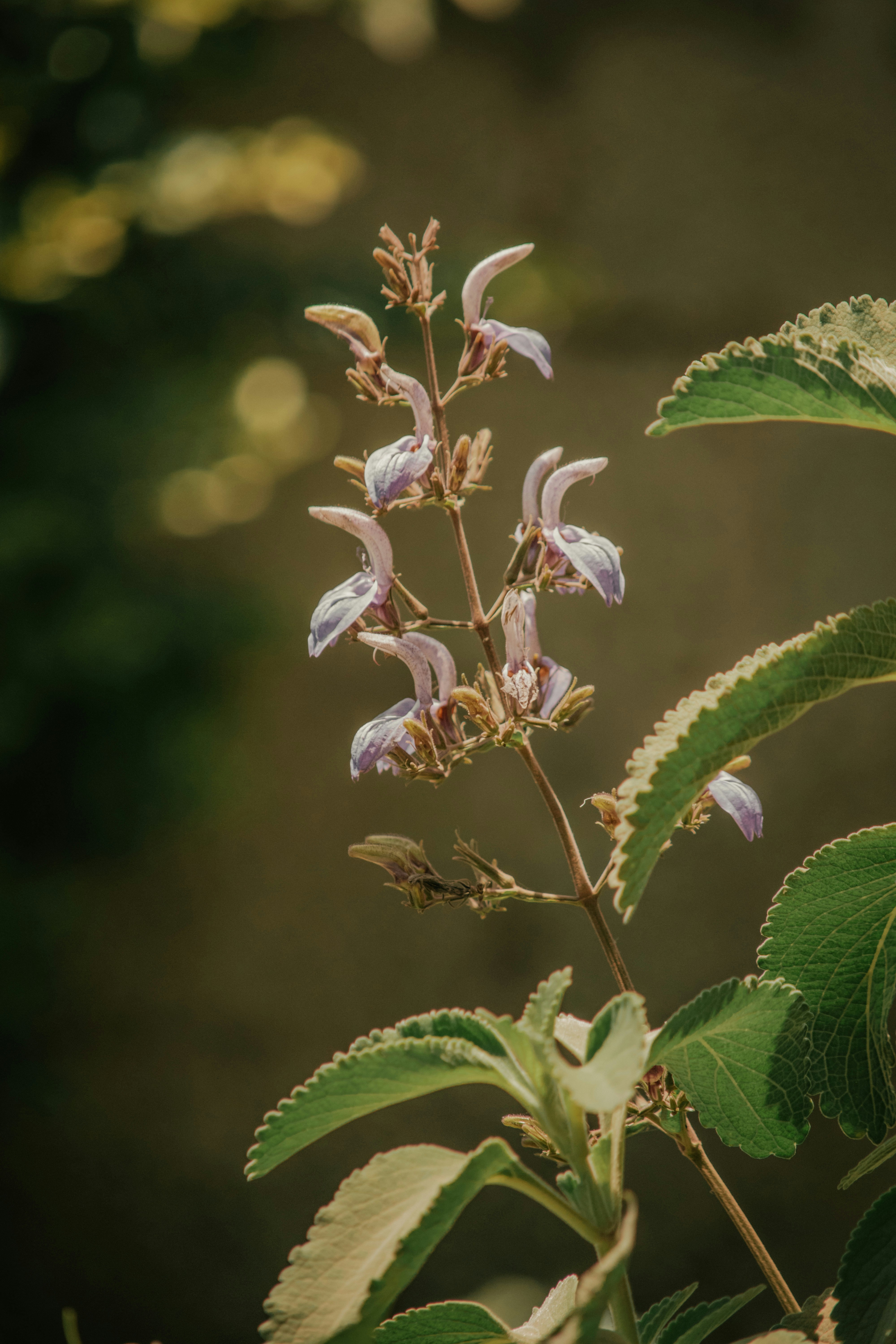 Photo by utunzajiwamazingira