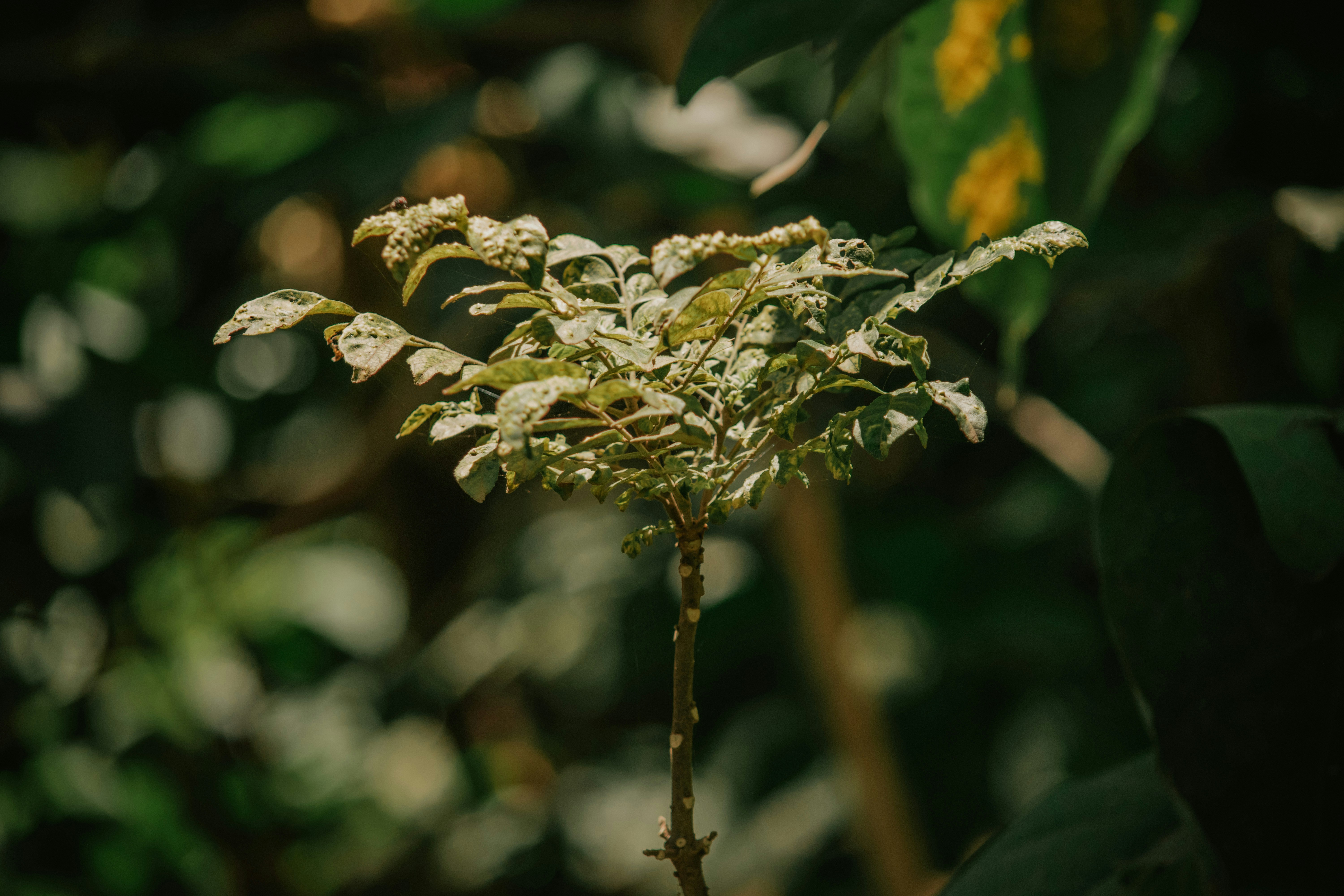 Photo by utunzajiwamazingira