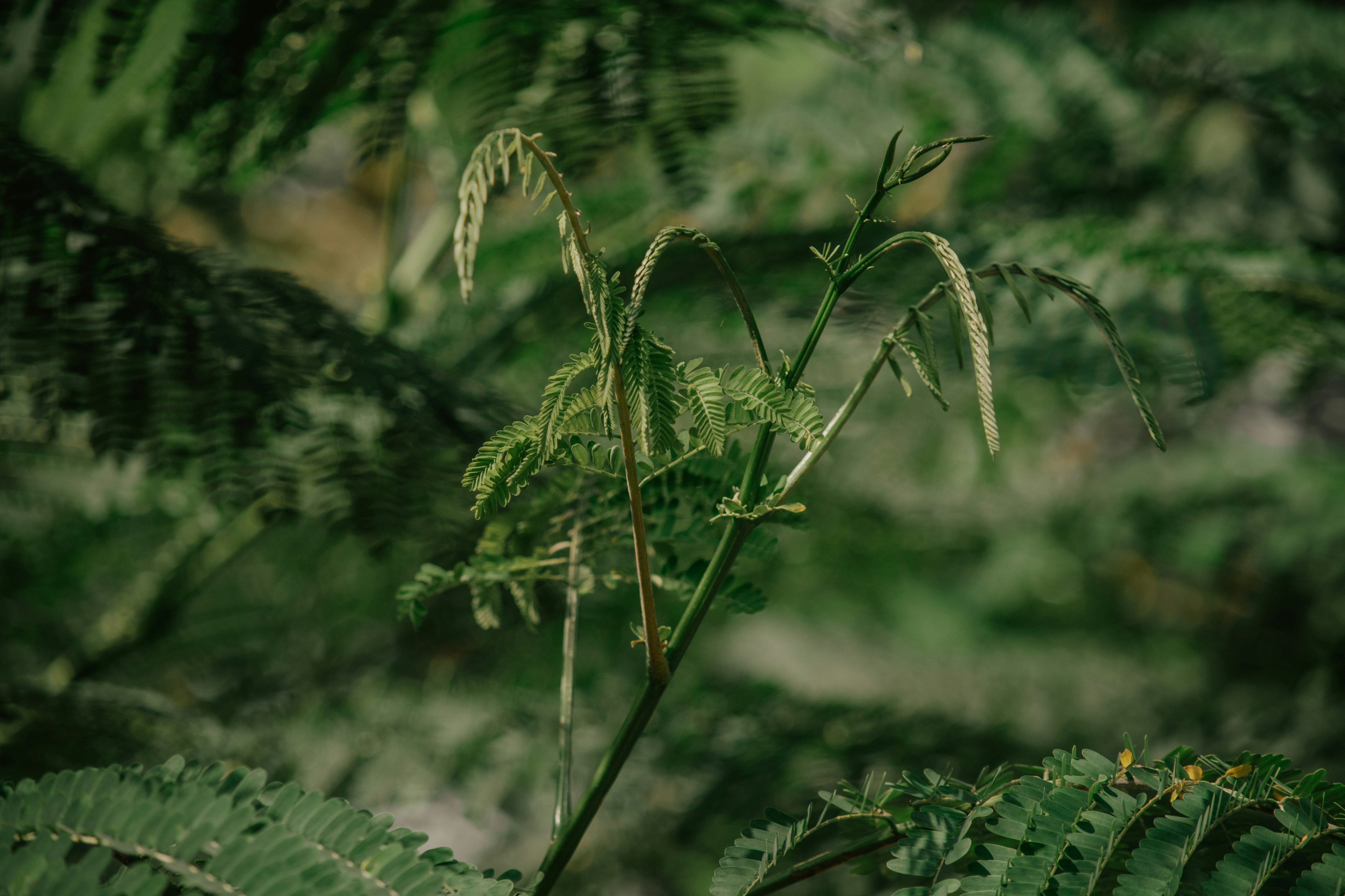 Photo by utunzajiwamazingira