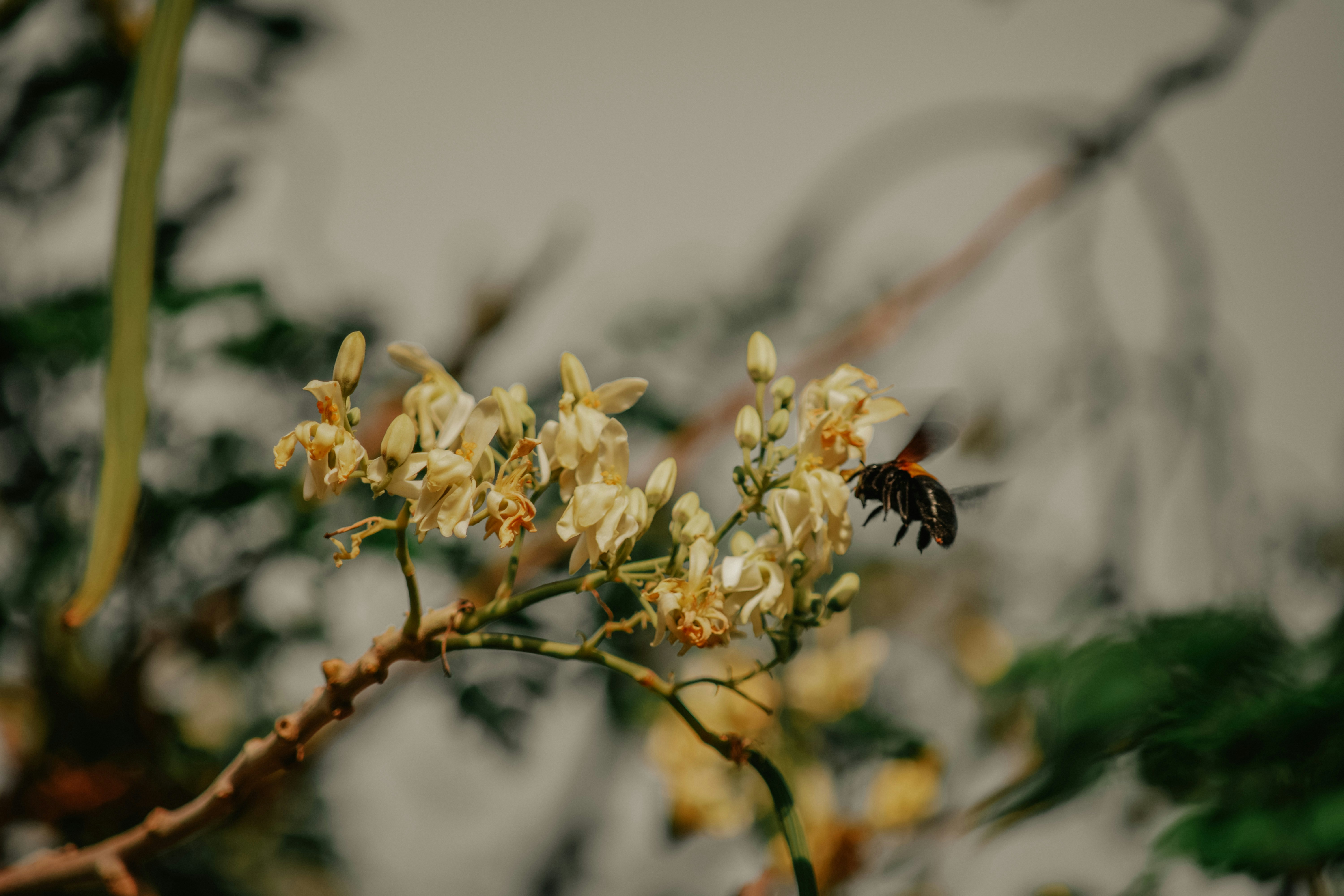 Photo by utunzajiwamazingira