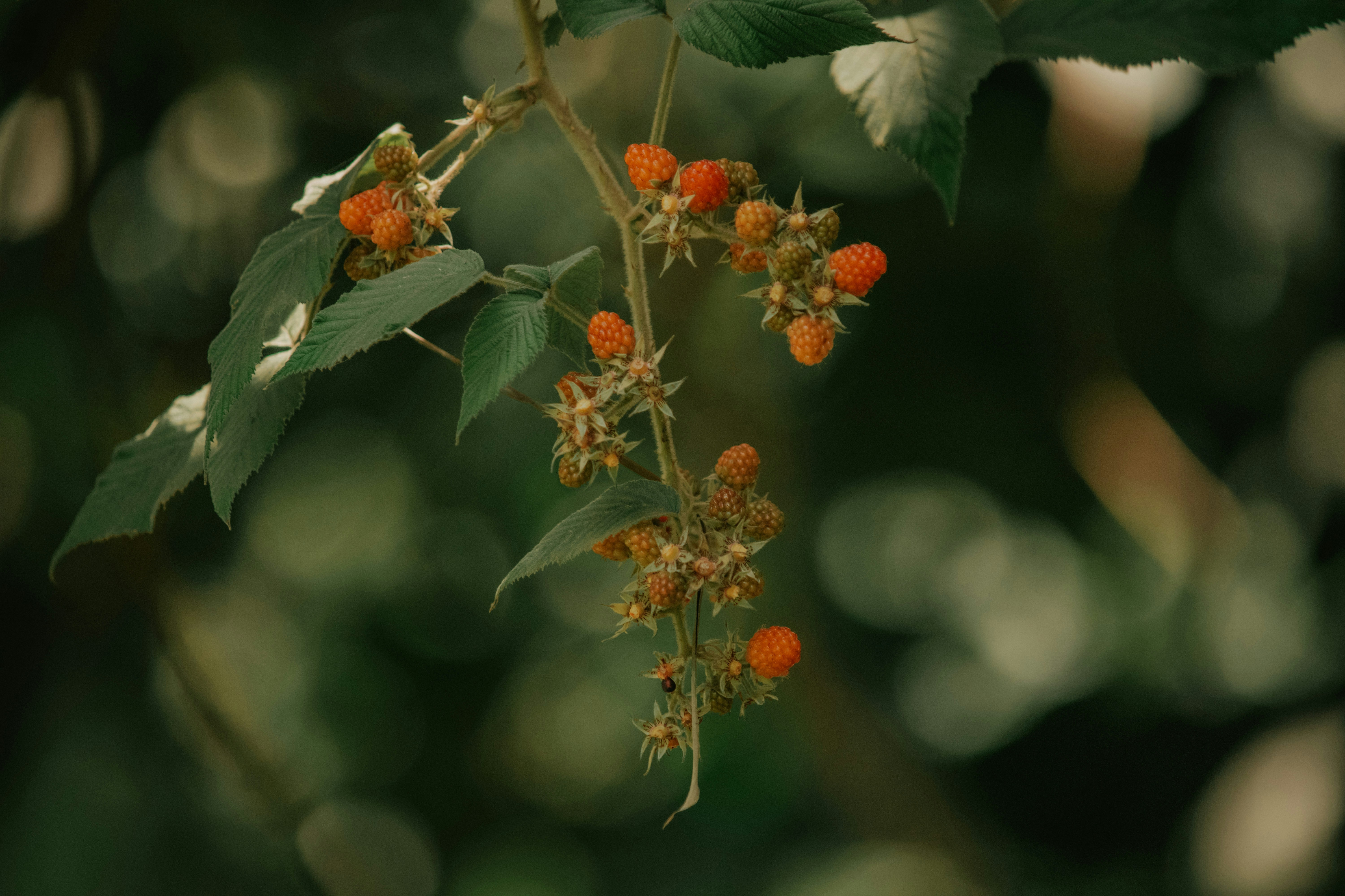 Photo by utunzajiwamazingira