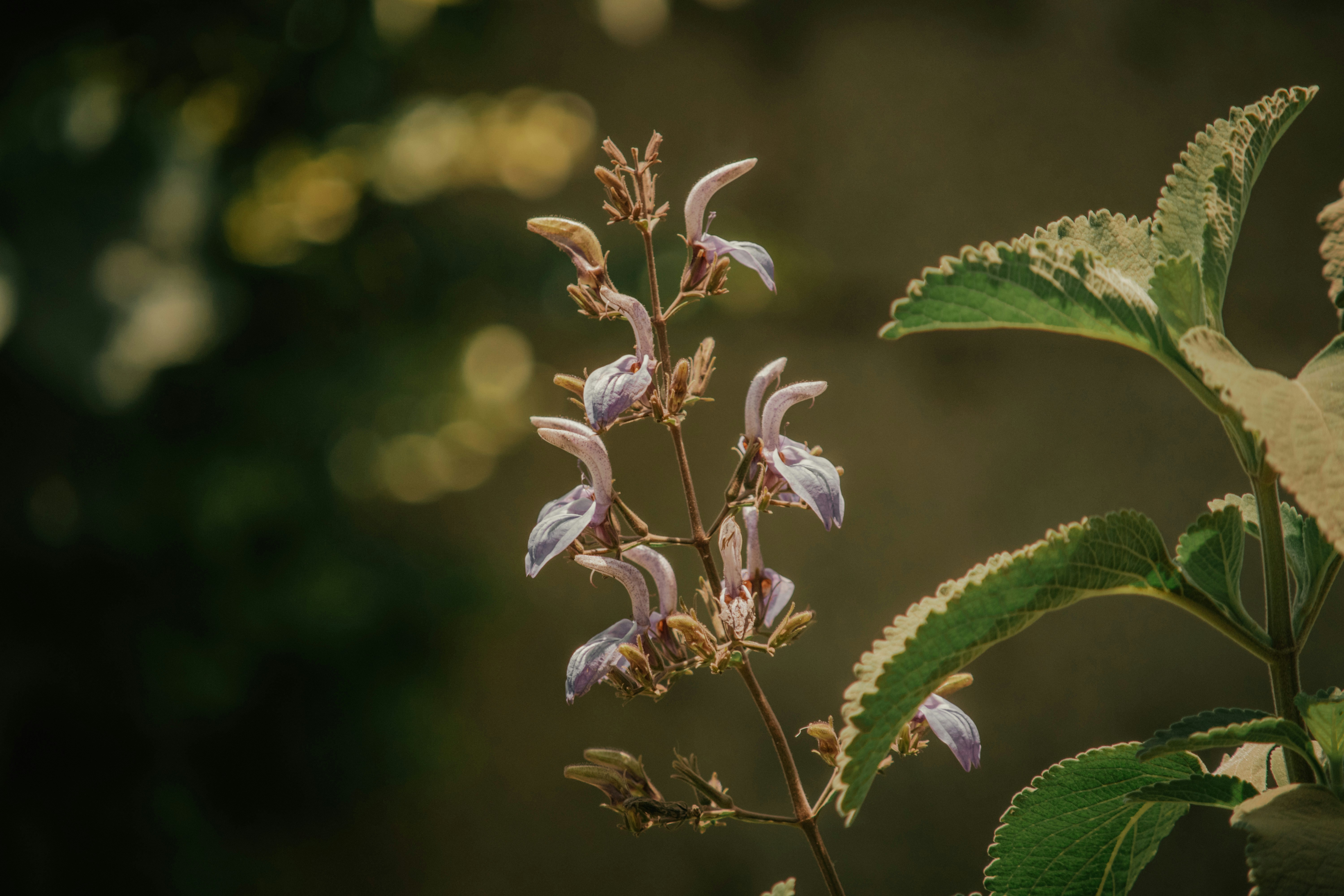 Photo by utunzajiwamazingira