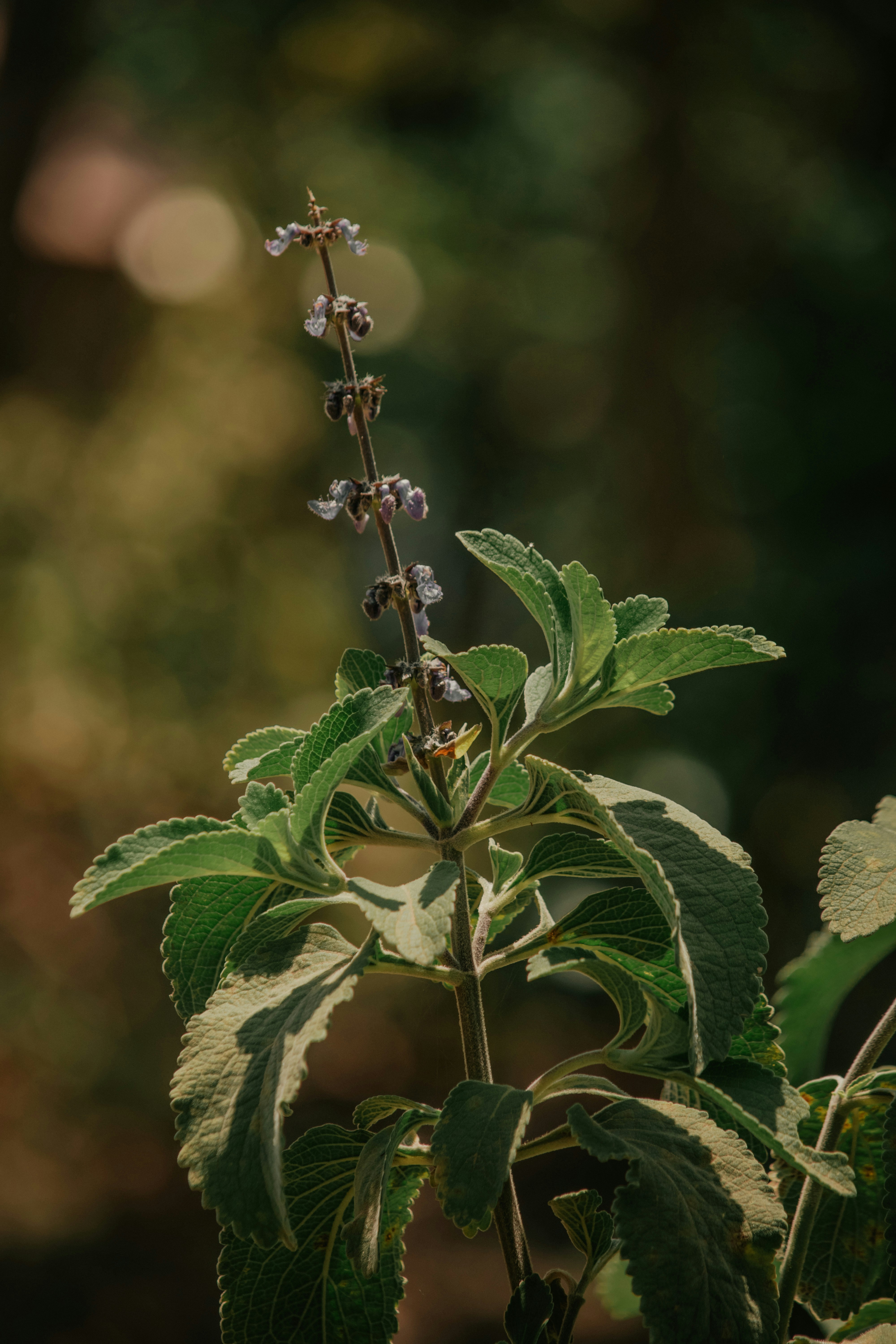 Photo by utunzajiwamazingira