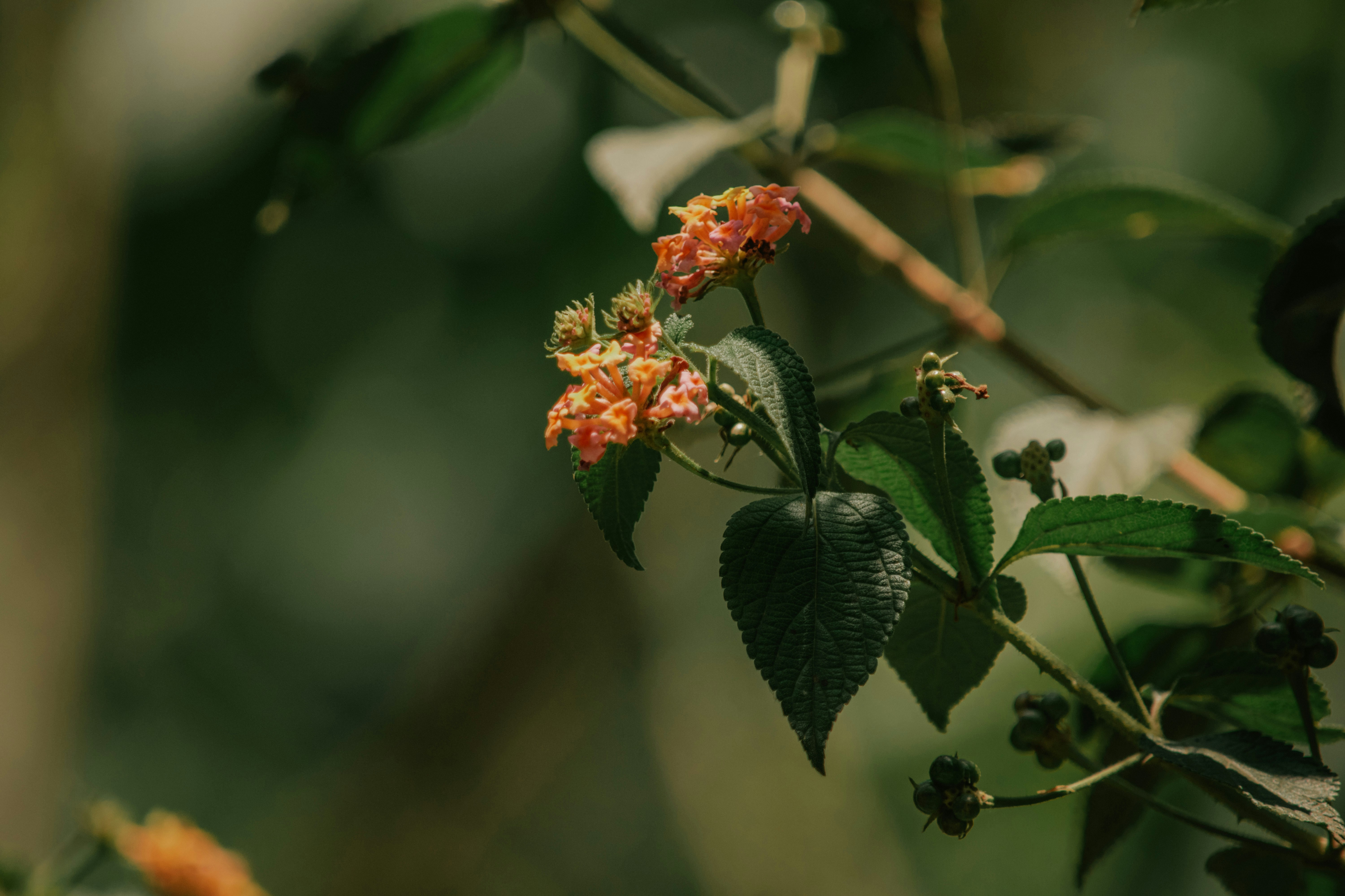 Photo by utunzajiwamazingira