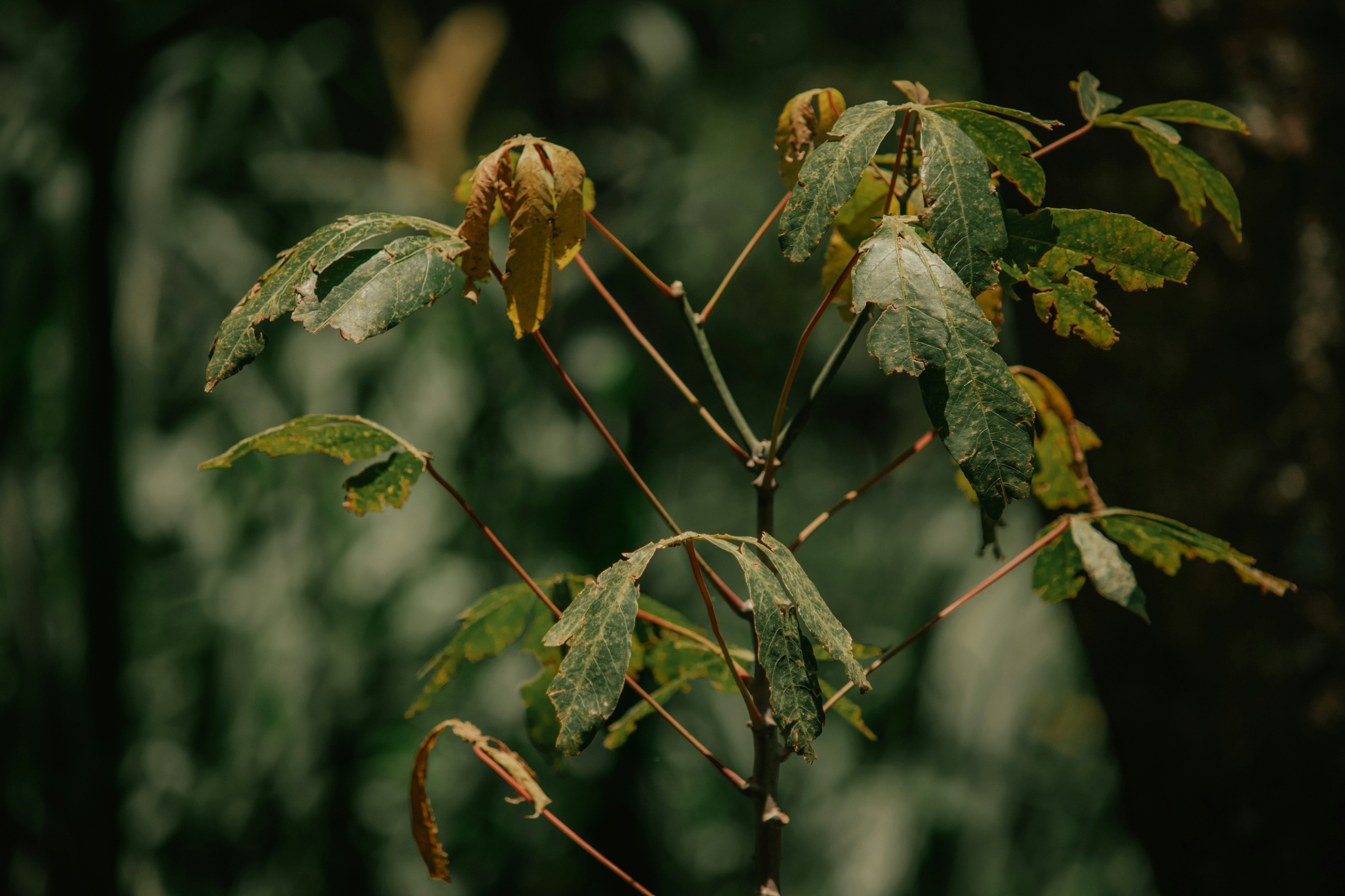 Photo by utunzajiwamazingira