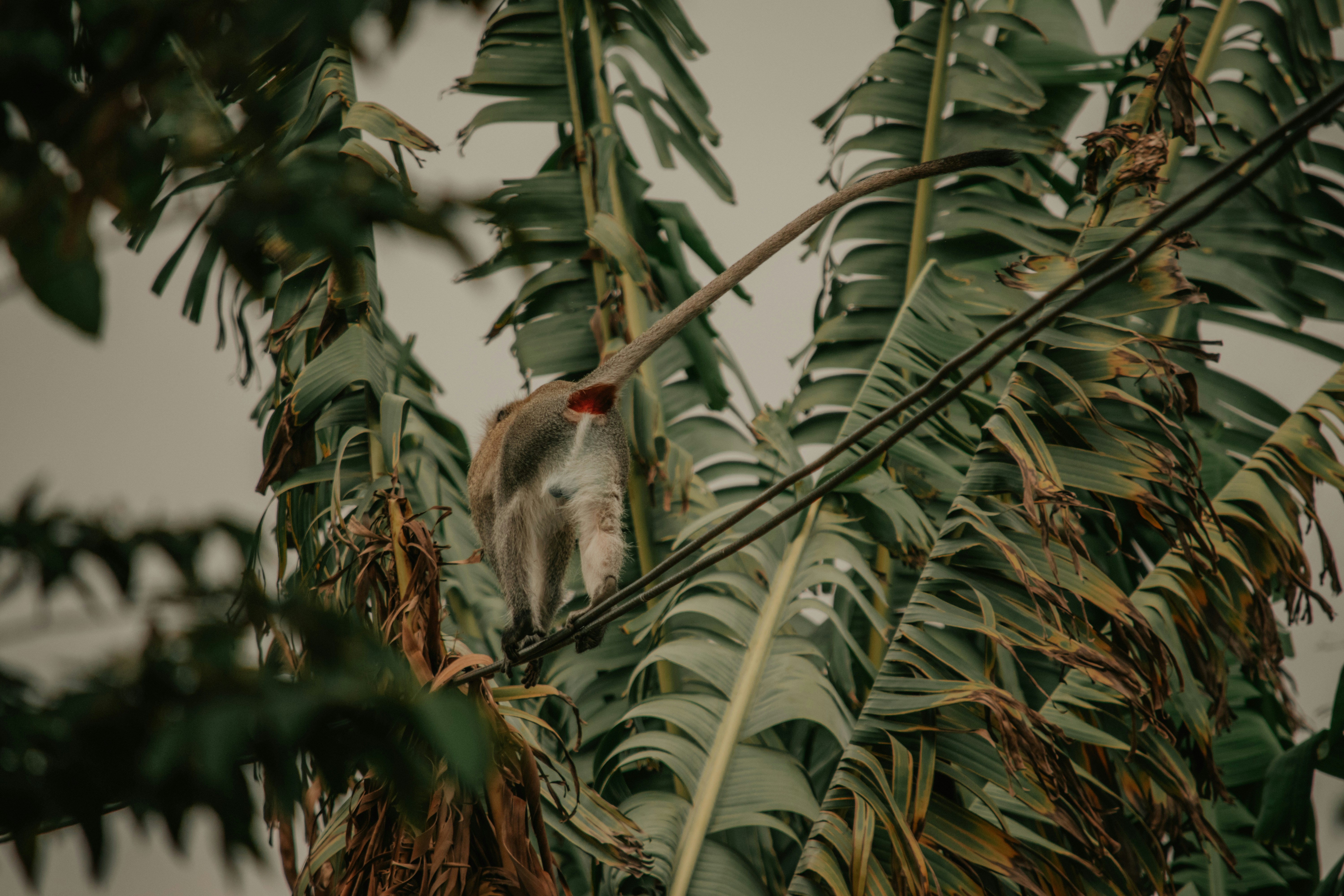 Photo by utunzajiwamazingira